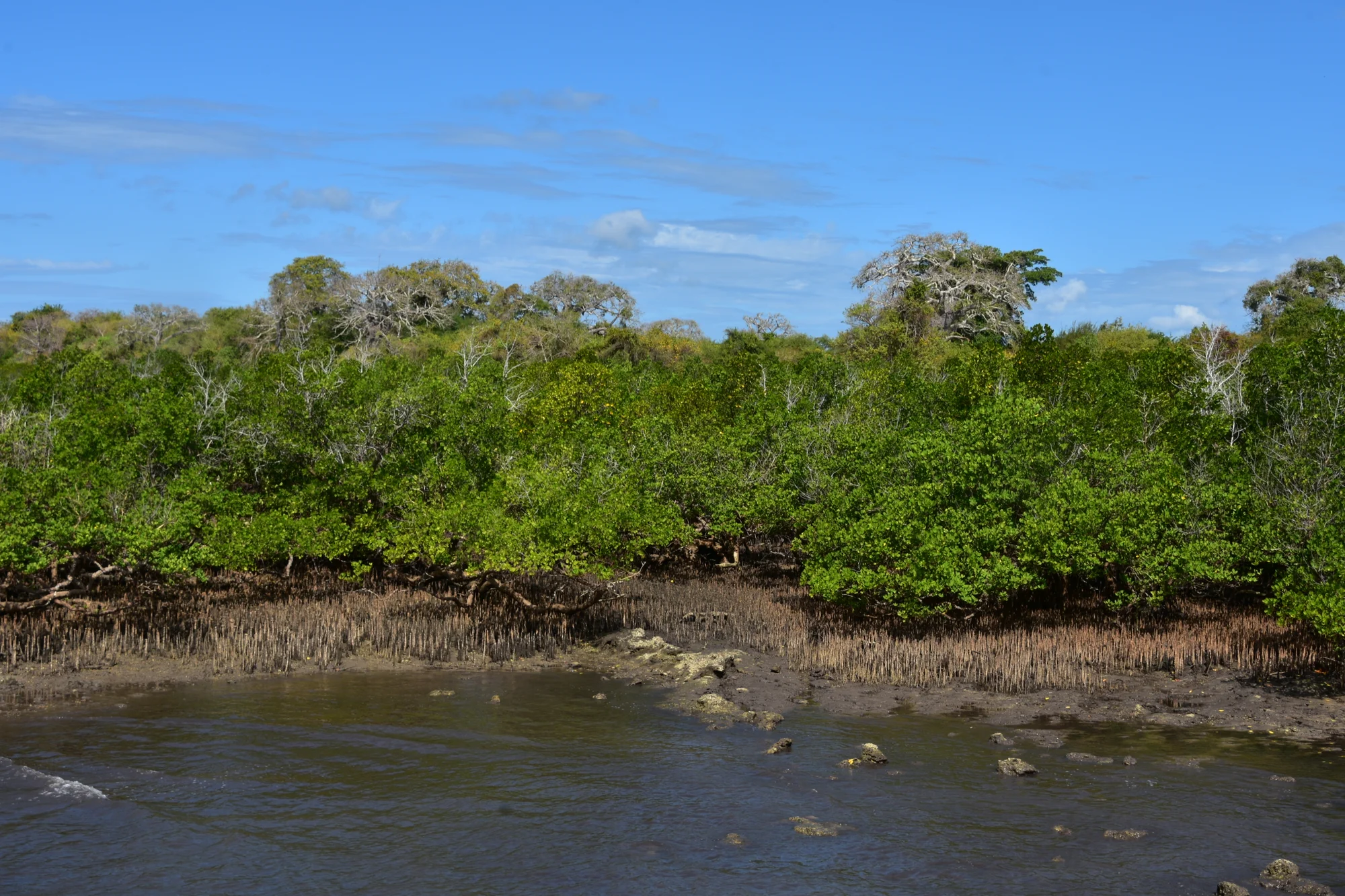 Kilwa Kisiwani — 2
