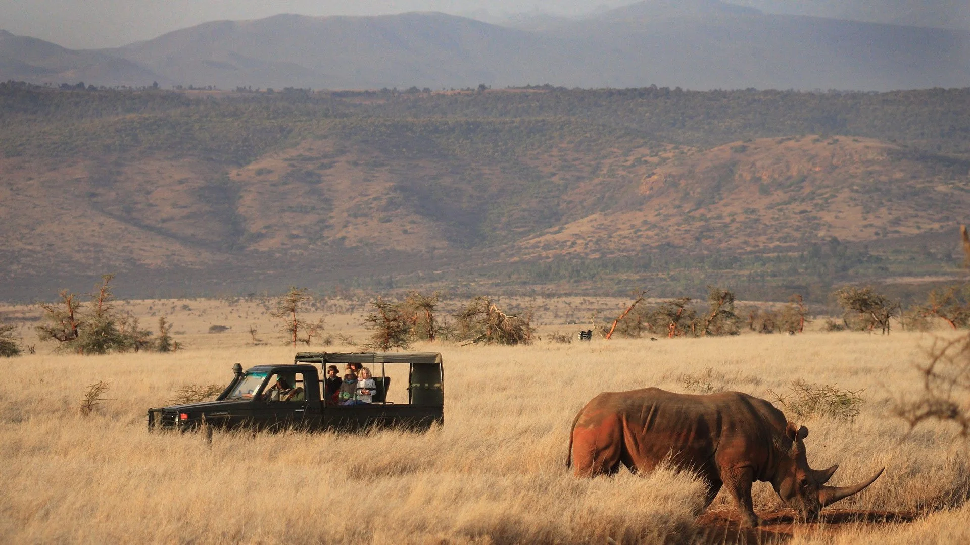 8-tägige Wanderreise: Vom Buschland zum Moorland — Laikipia & Mount Kenya
