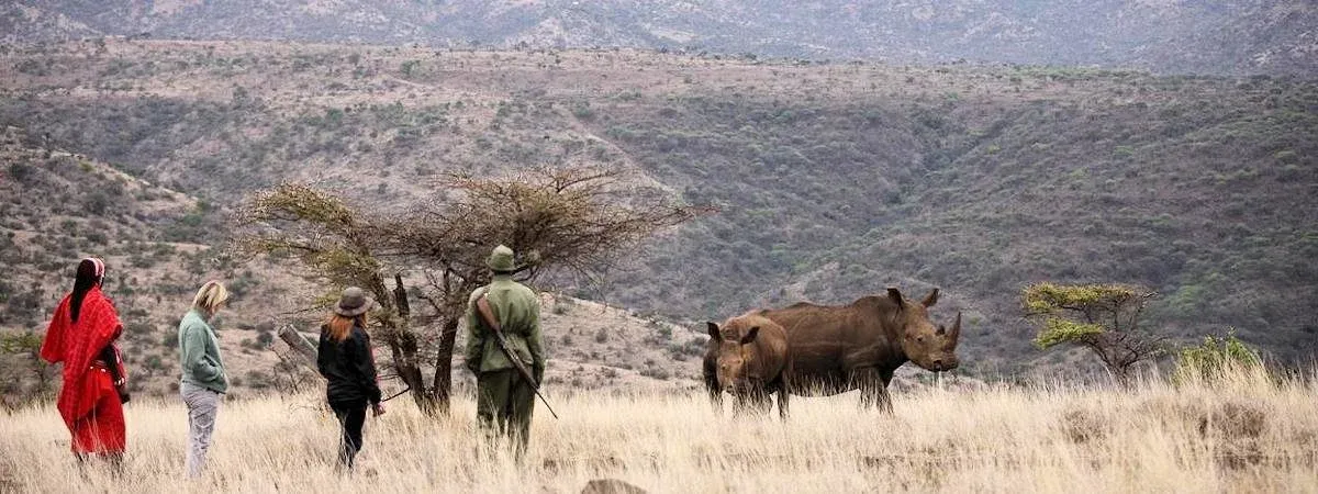 6-tägige Masai-Mara-, Nakuru- & Ol-Pejeta-Safari