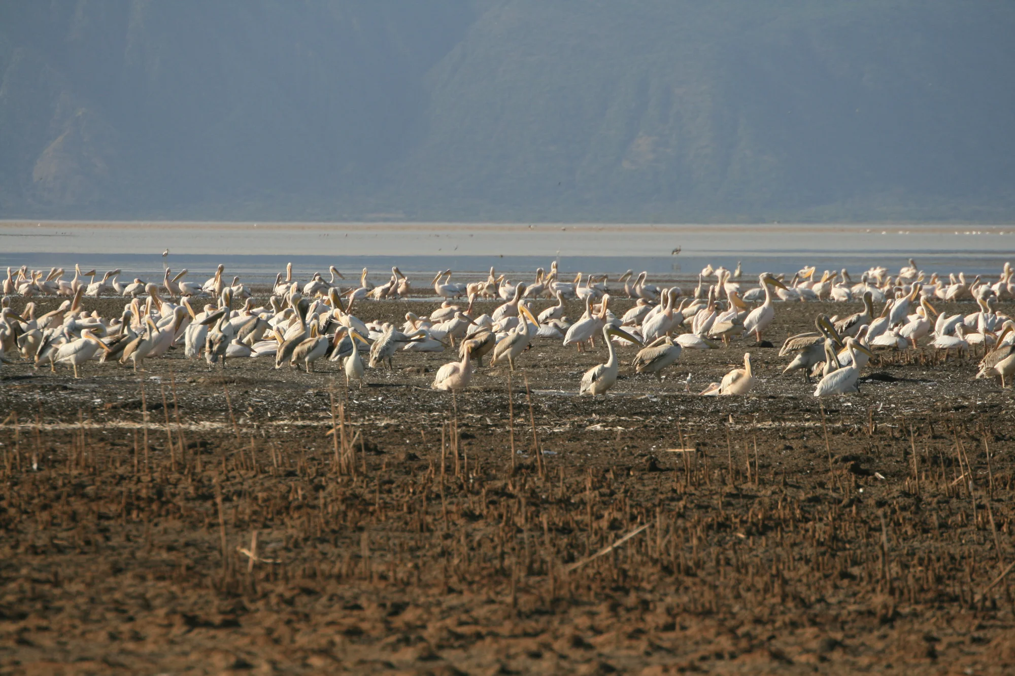 Lake Eyasi — 2