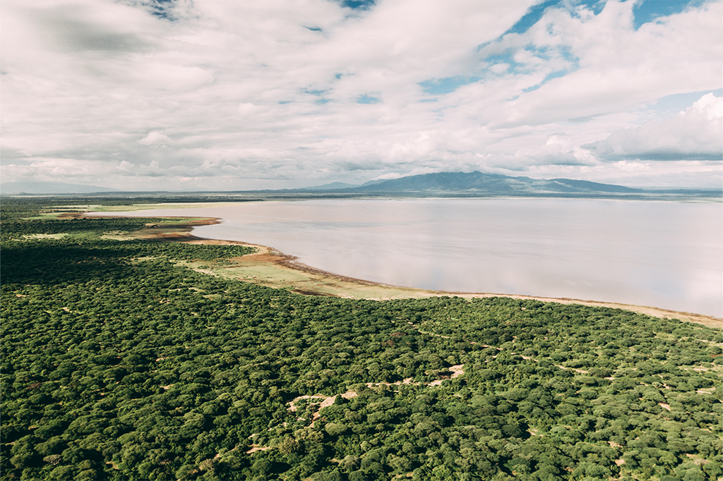 Lake Manyara National Park