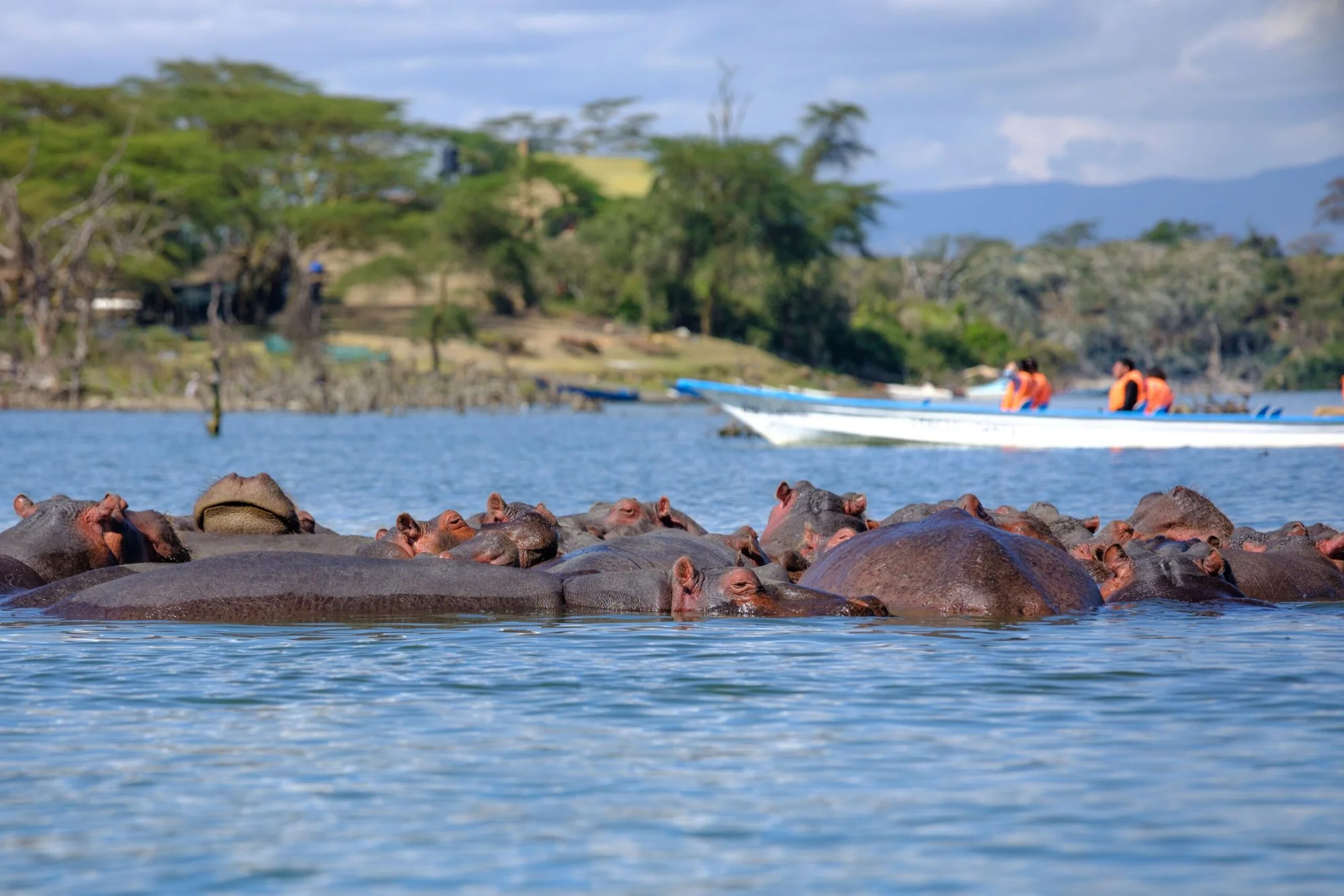 Lake Naivasha — 3