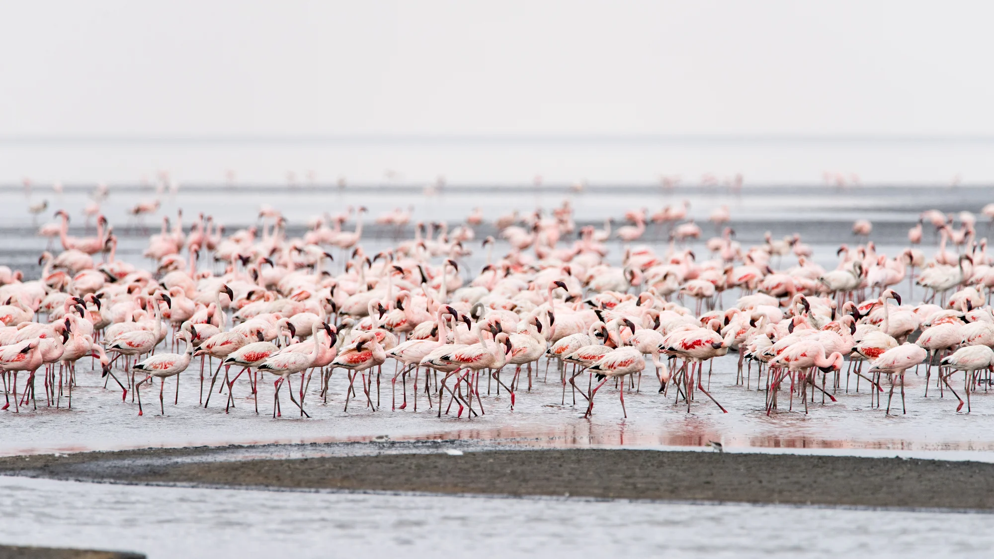 Lake Natron — 2