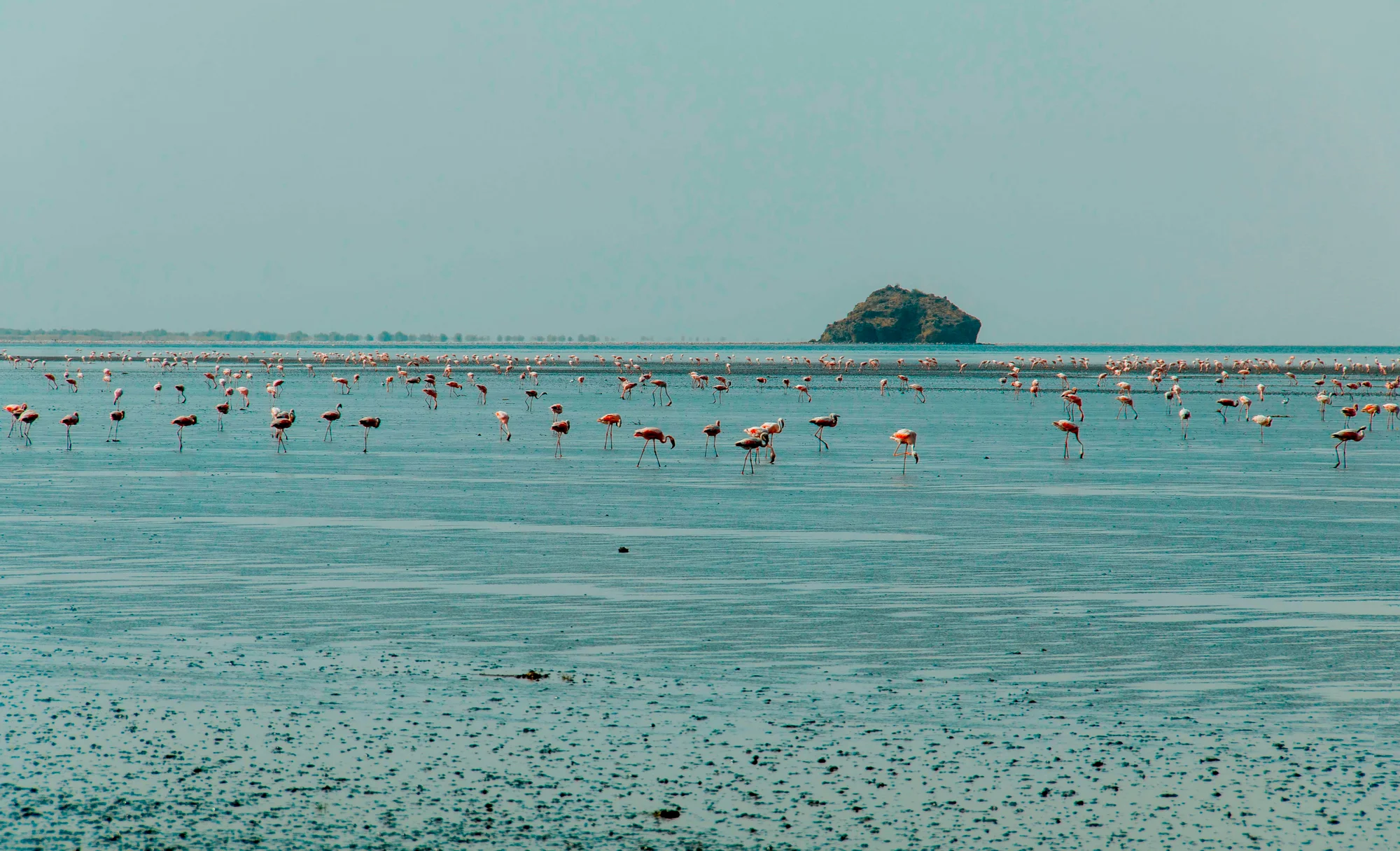 Lake Natron — 5