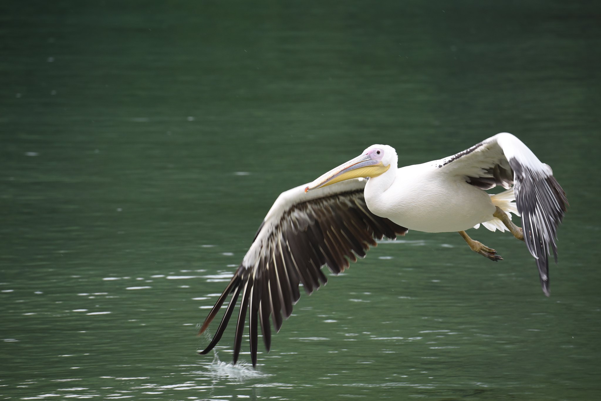 Mahale Mountains National Park — 5