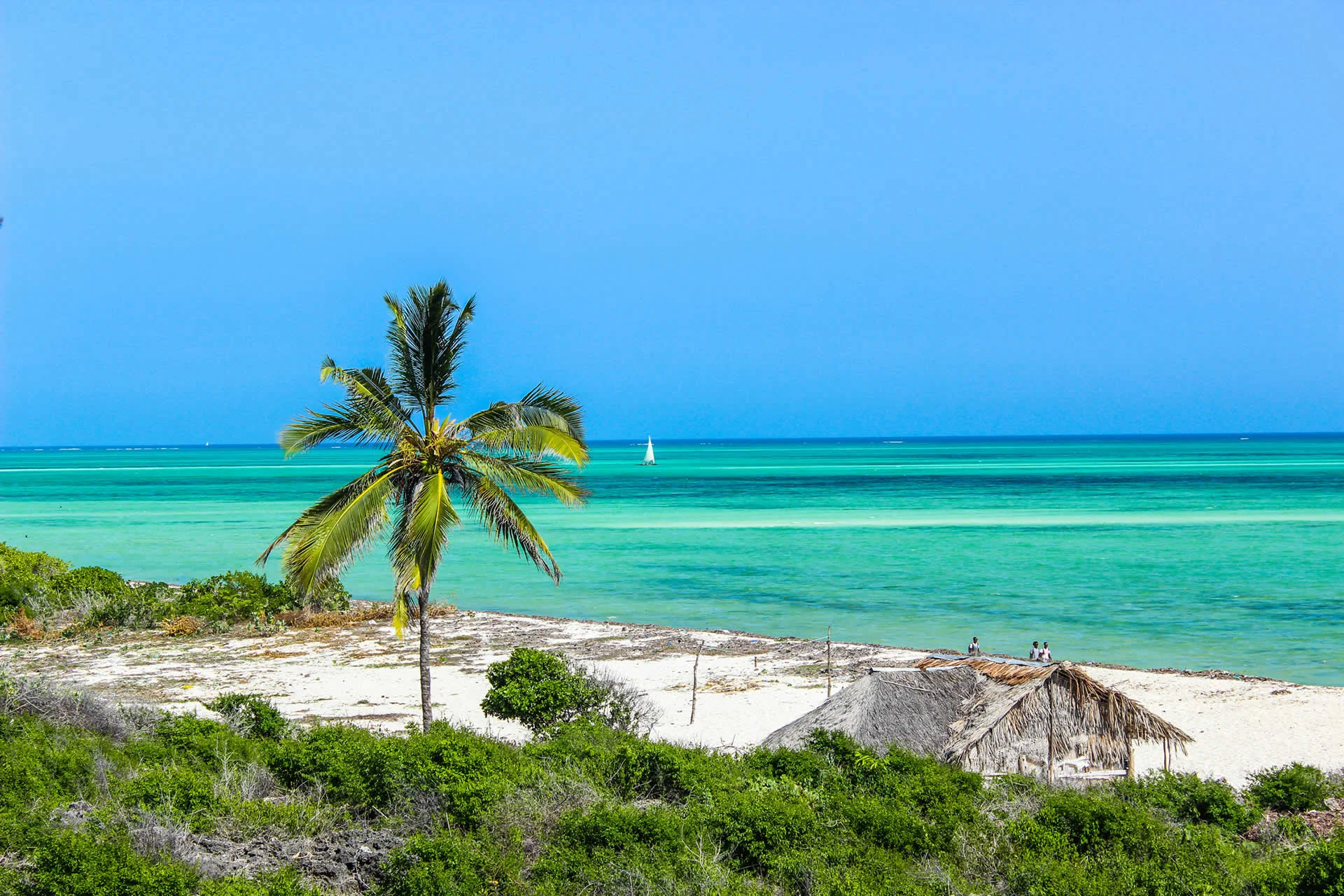 Malindi — 5
