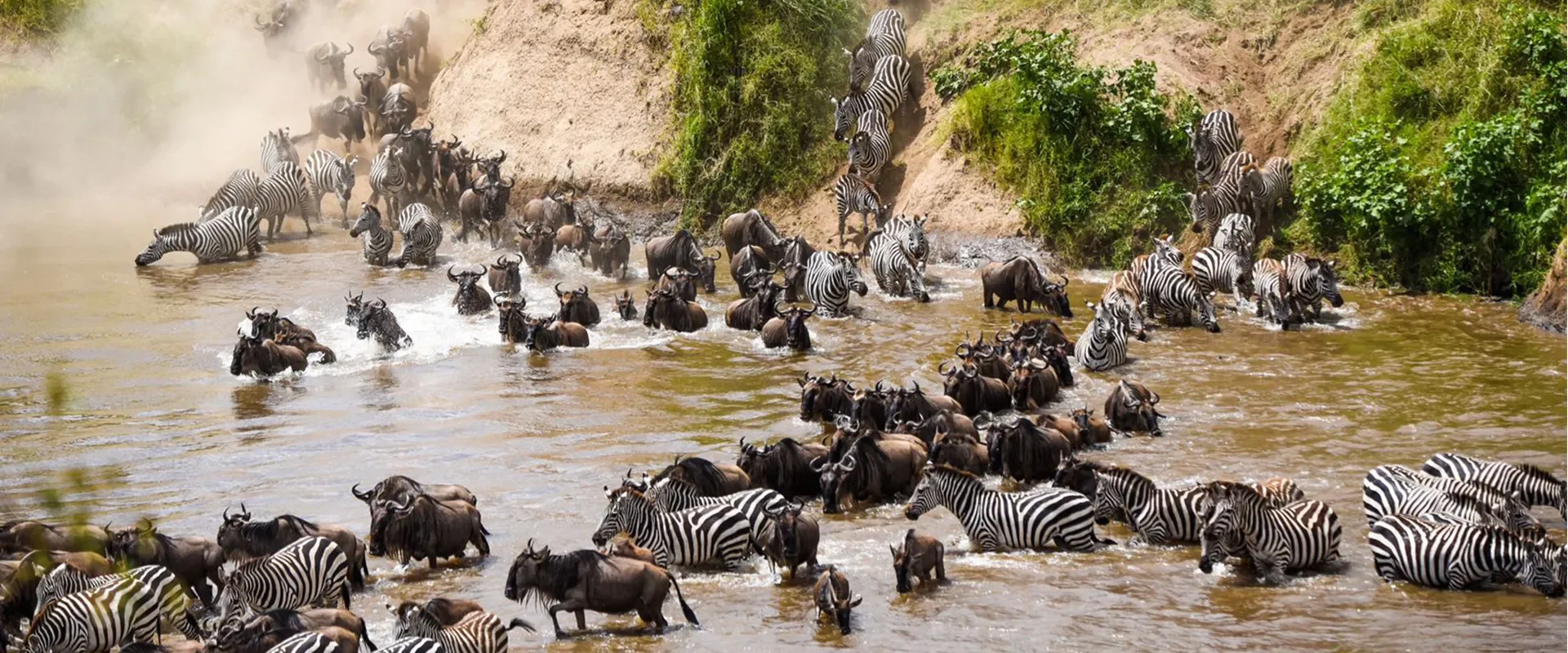 Kenya safari landscape