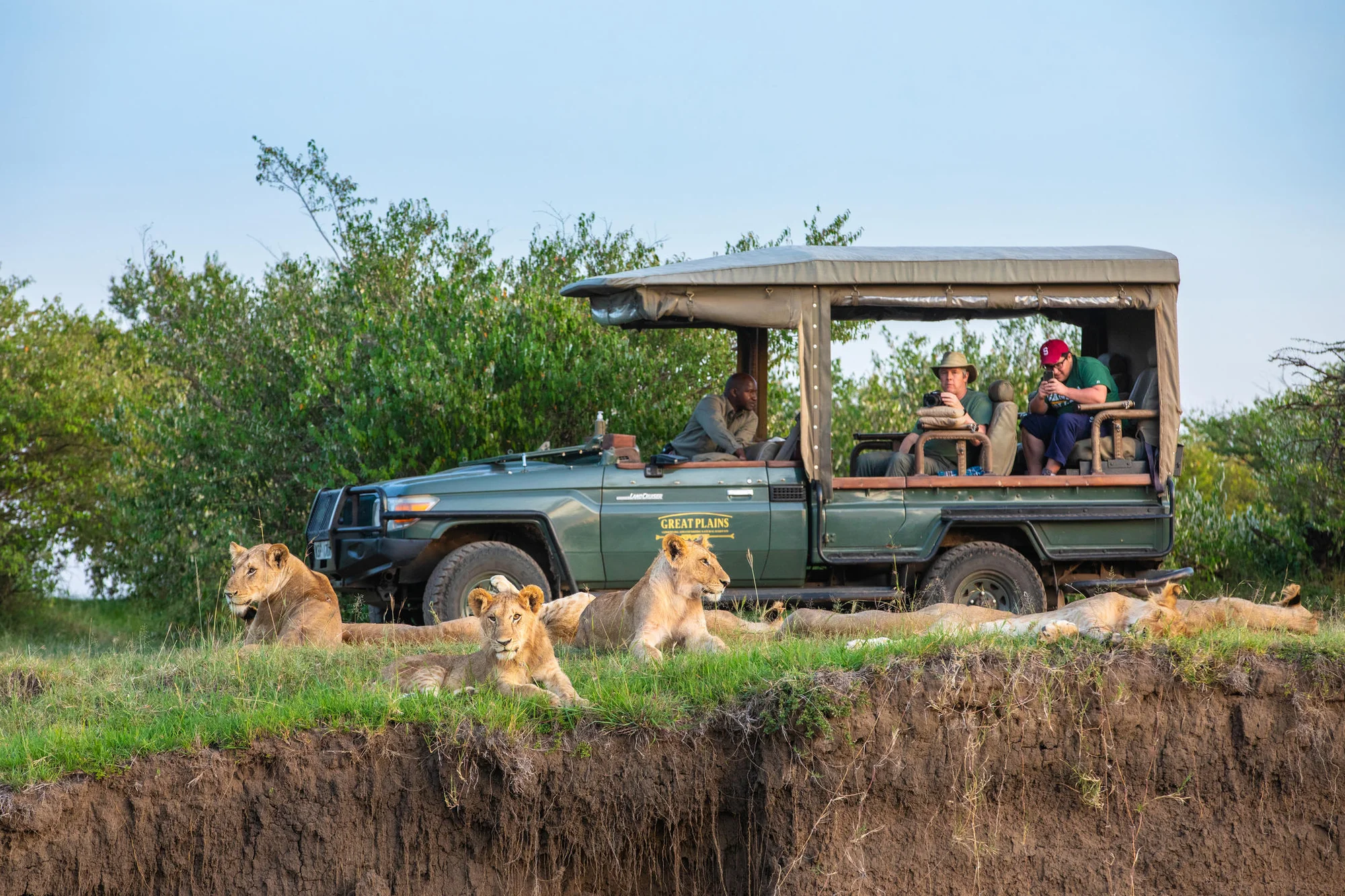 7-tägige Safari: Aberdare, Samburu, Lake Nakuru & Masai Mara