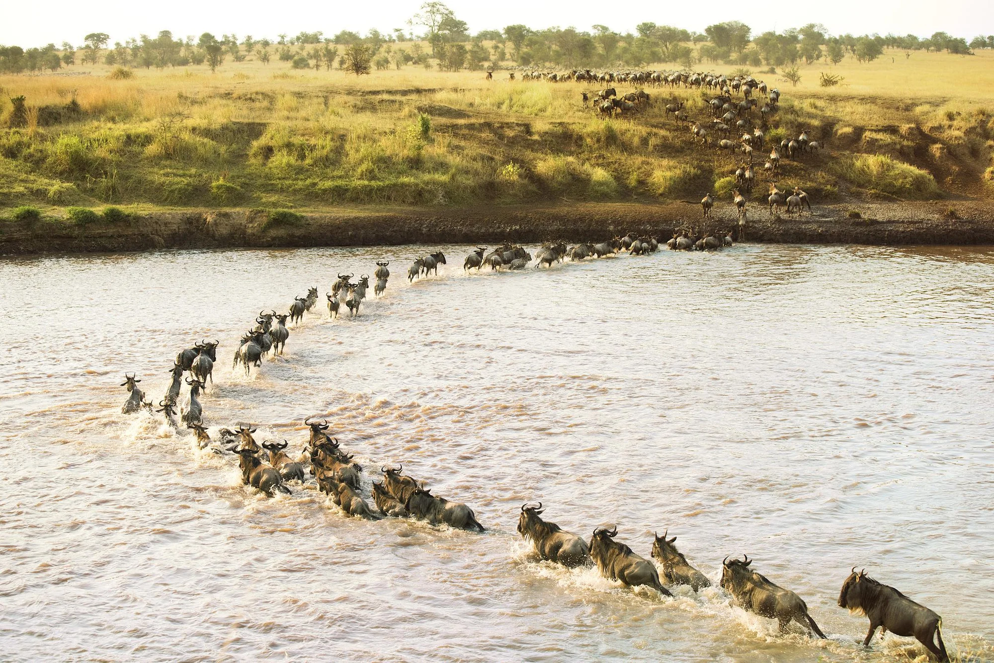 Safari de Luxe Premium de 10 Jours du Grand Circuit Nord du Kenya
