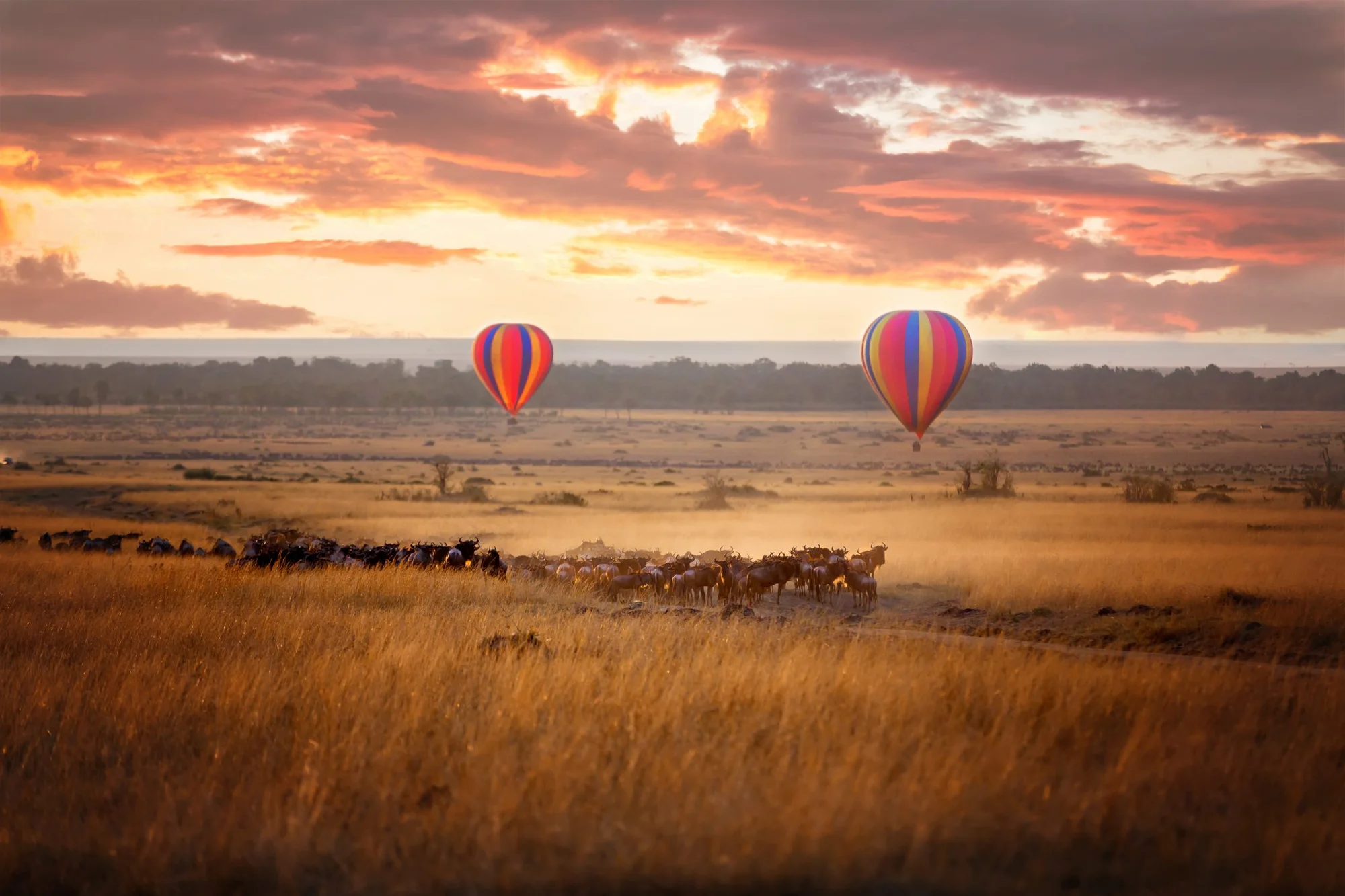 Safari di 3 Giorni a Lake Nakuru e Masai Mara