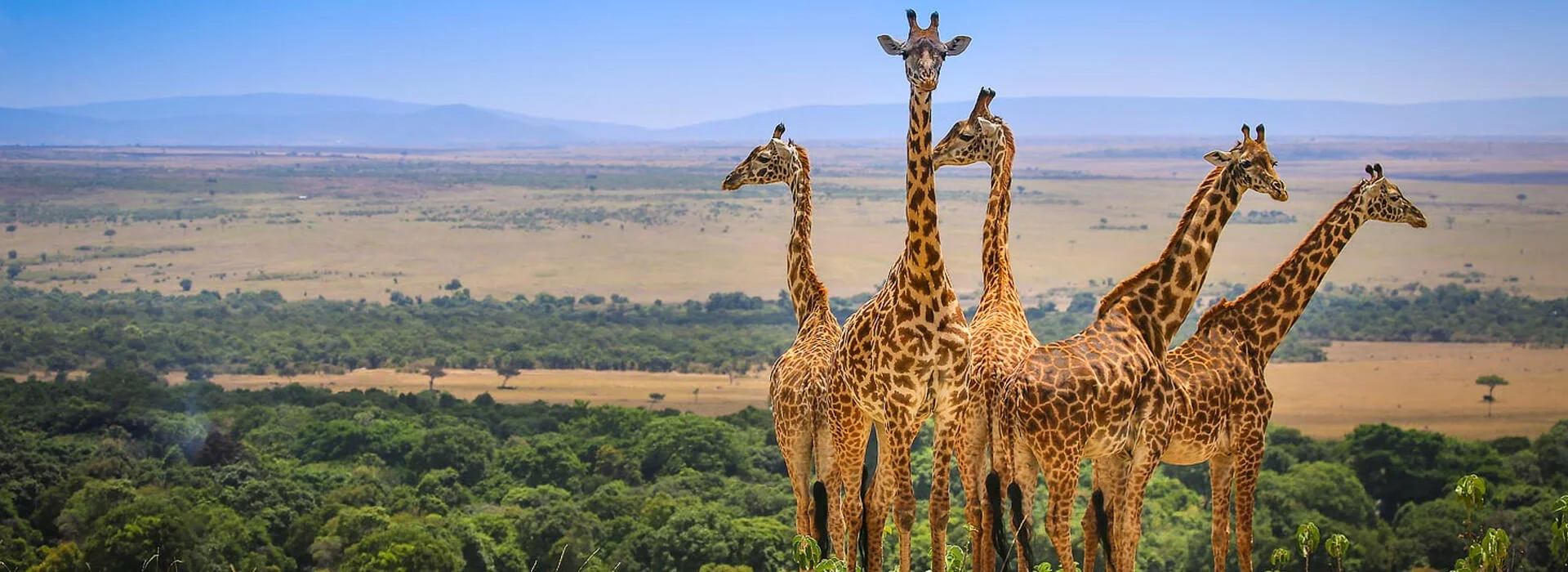 9-tägige Kenya-Komplettsafari durch sechs Parks