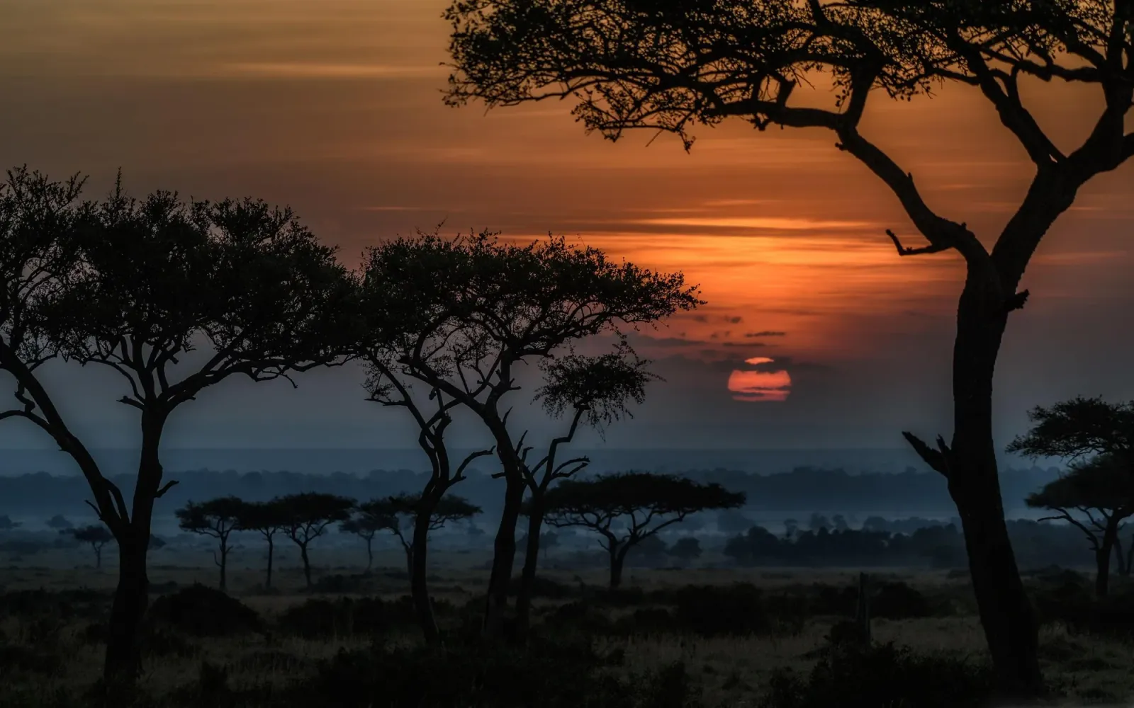 5-tägige Masai-Mara-Safari
