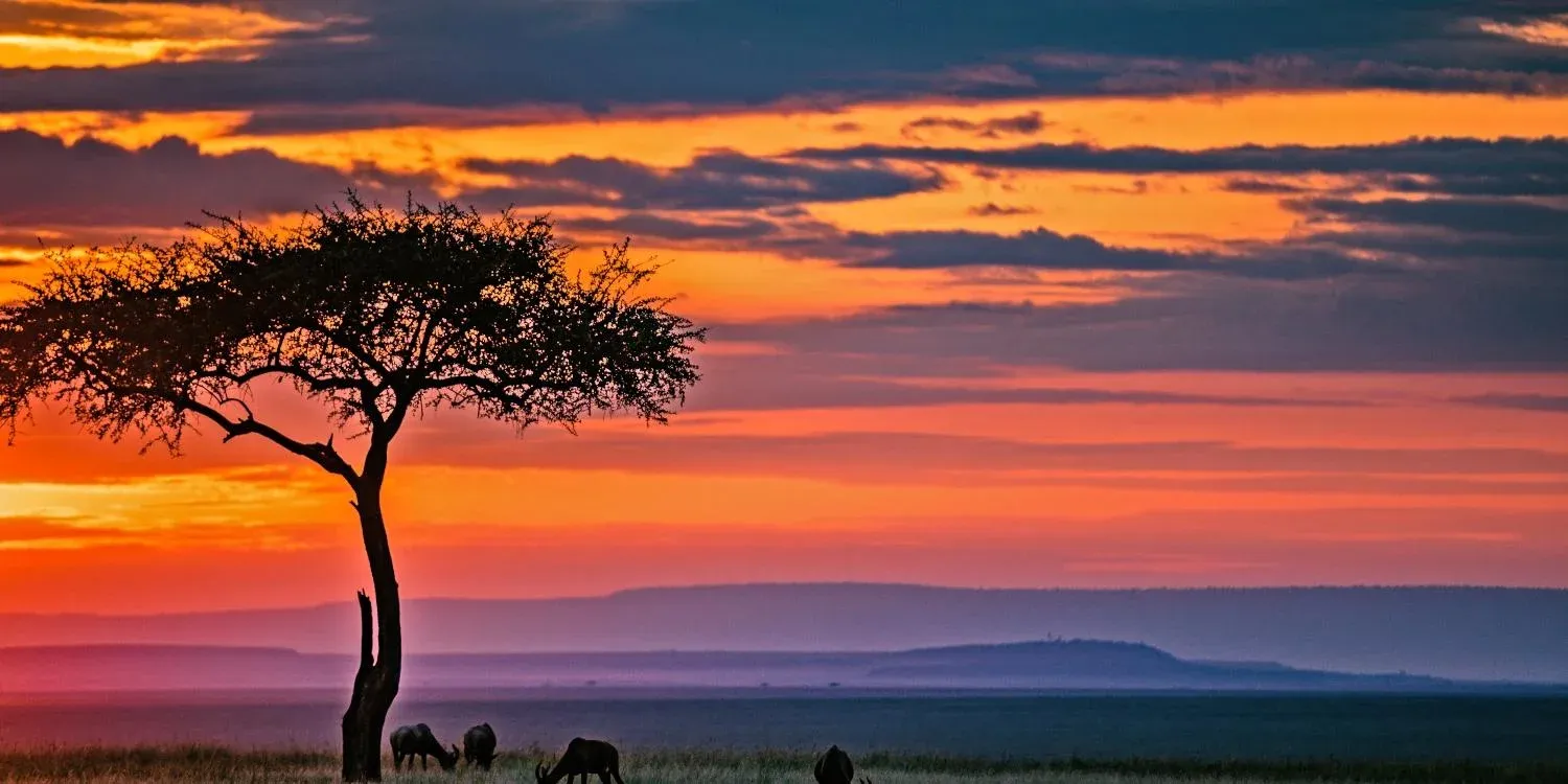 5-tägige Lake-Nakuru- & Masai-Mara-Safari