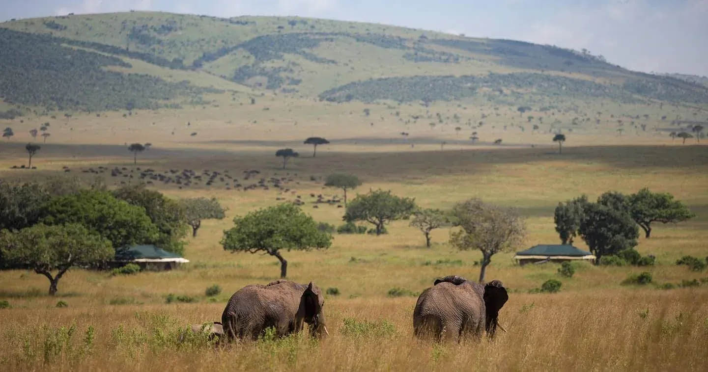 Safari Immersivo di 4 Giorni nel Masai Mara