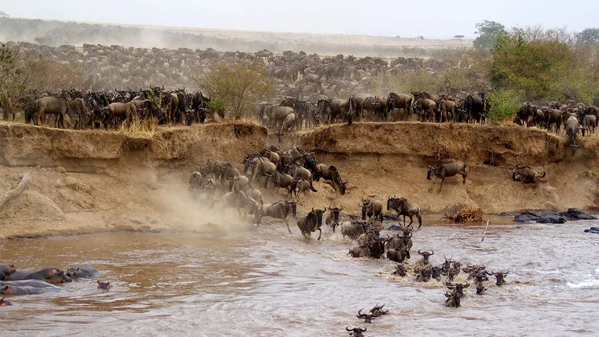 11-Tage Klassische Kenya-Sechs-Park-Safari — Aberdare, Samburu, Nakuru, Naivasha & Masai Mara