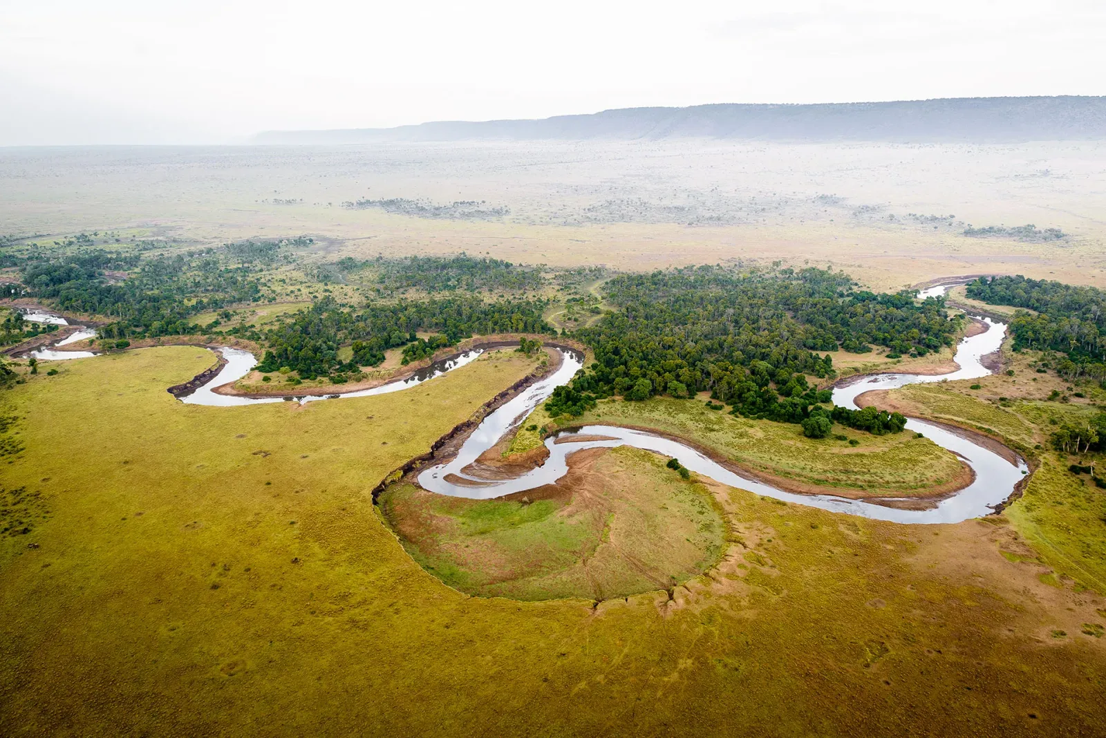 Safari de 6 jours : Amboseli et Masai Mara