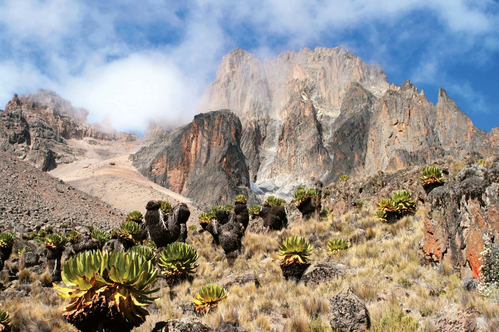 Mount Kenya National Park