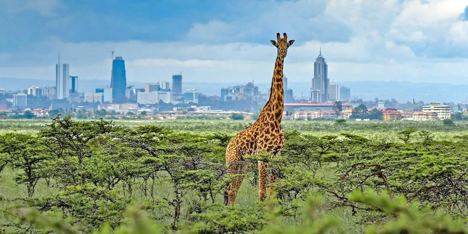Nairobi — 2