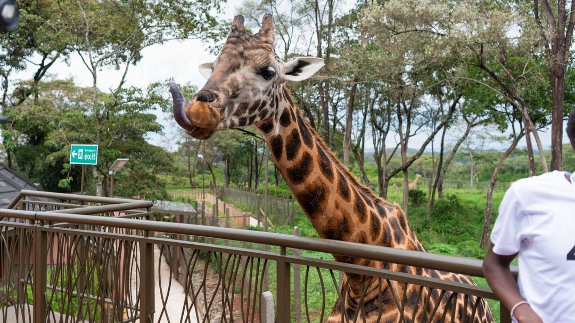 Nairobi — 4