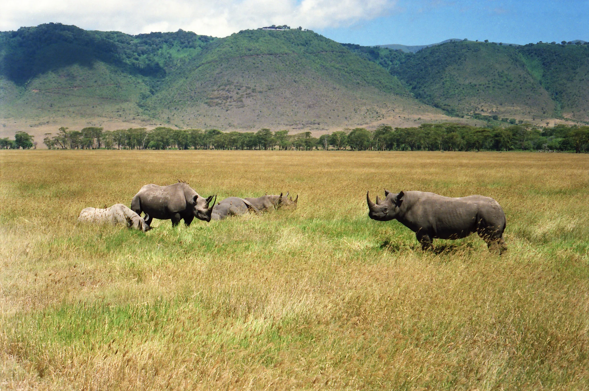 Ngorongoro Conservation Area