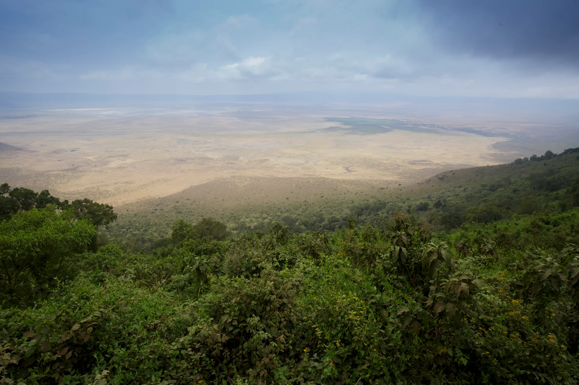 Safari di 5 Giorni tra Valle e Cratere in Tanzania