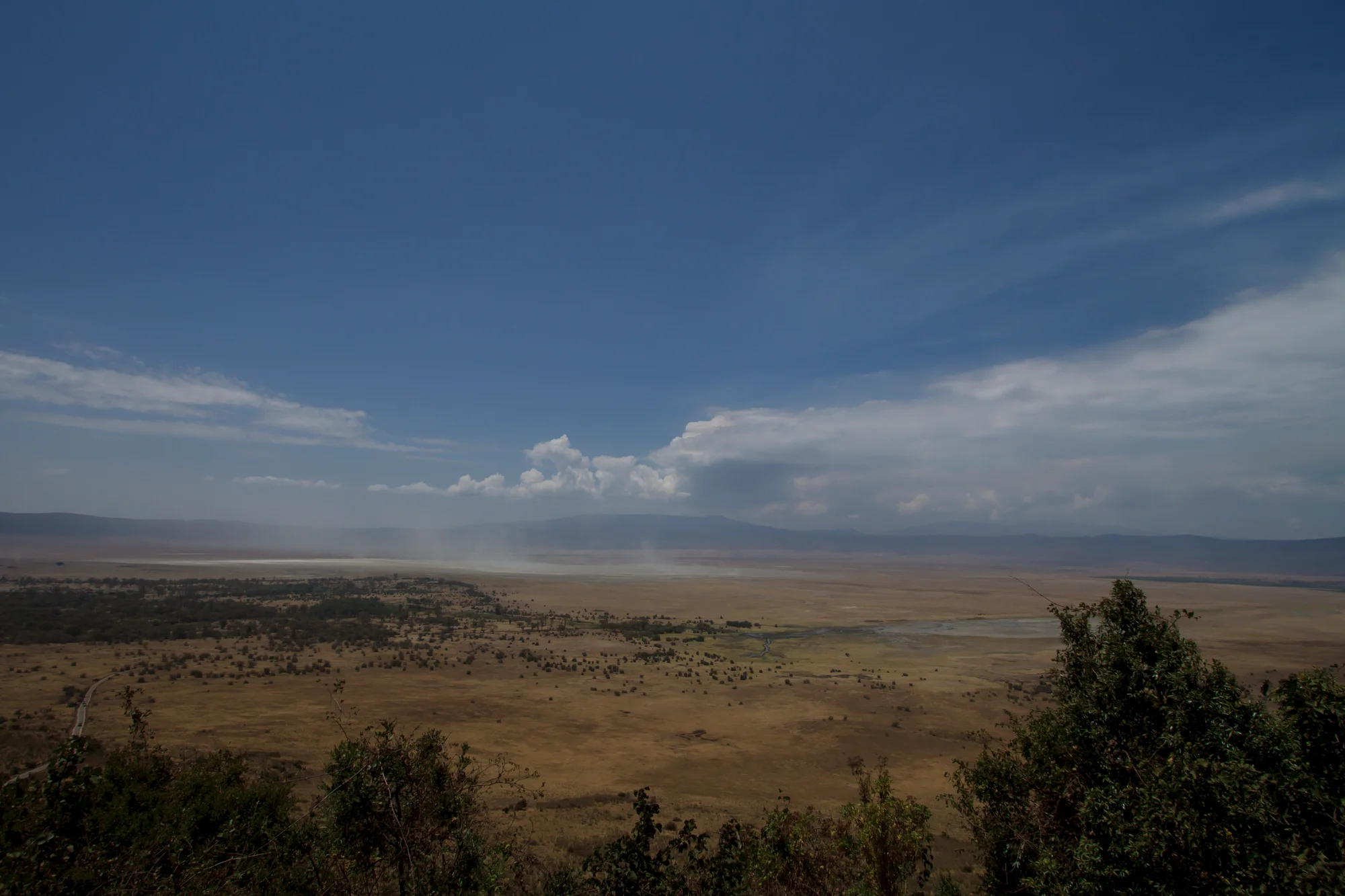 Punti Salienti della Tanzania del Nord di 5 Giorni — Ngorongoro & Serengeti