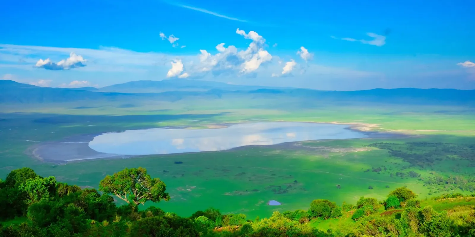 Safari ultra-luxe de 6 jours : cratère du Ngorongoro & migration du Serengeti
