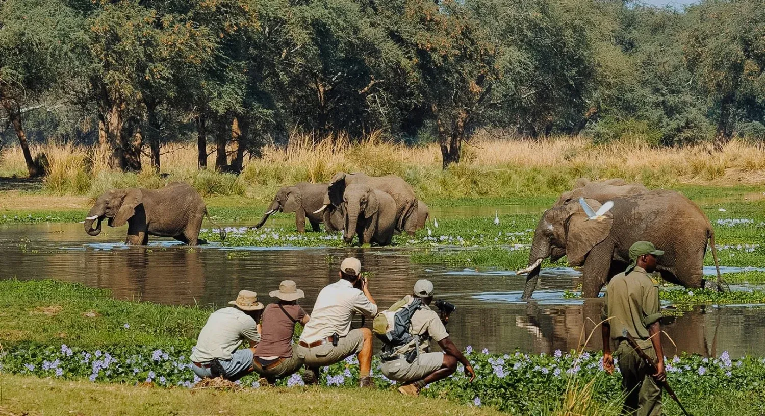 Safari de 10 jours – Nyerere, Ruaha et plongée à Pemba