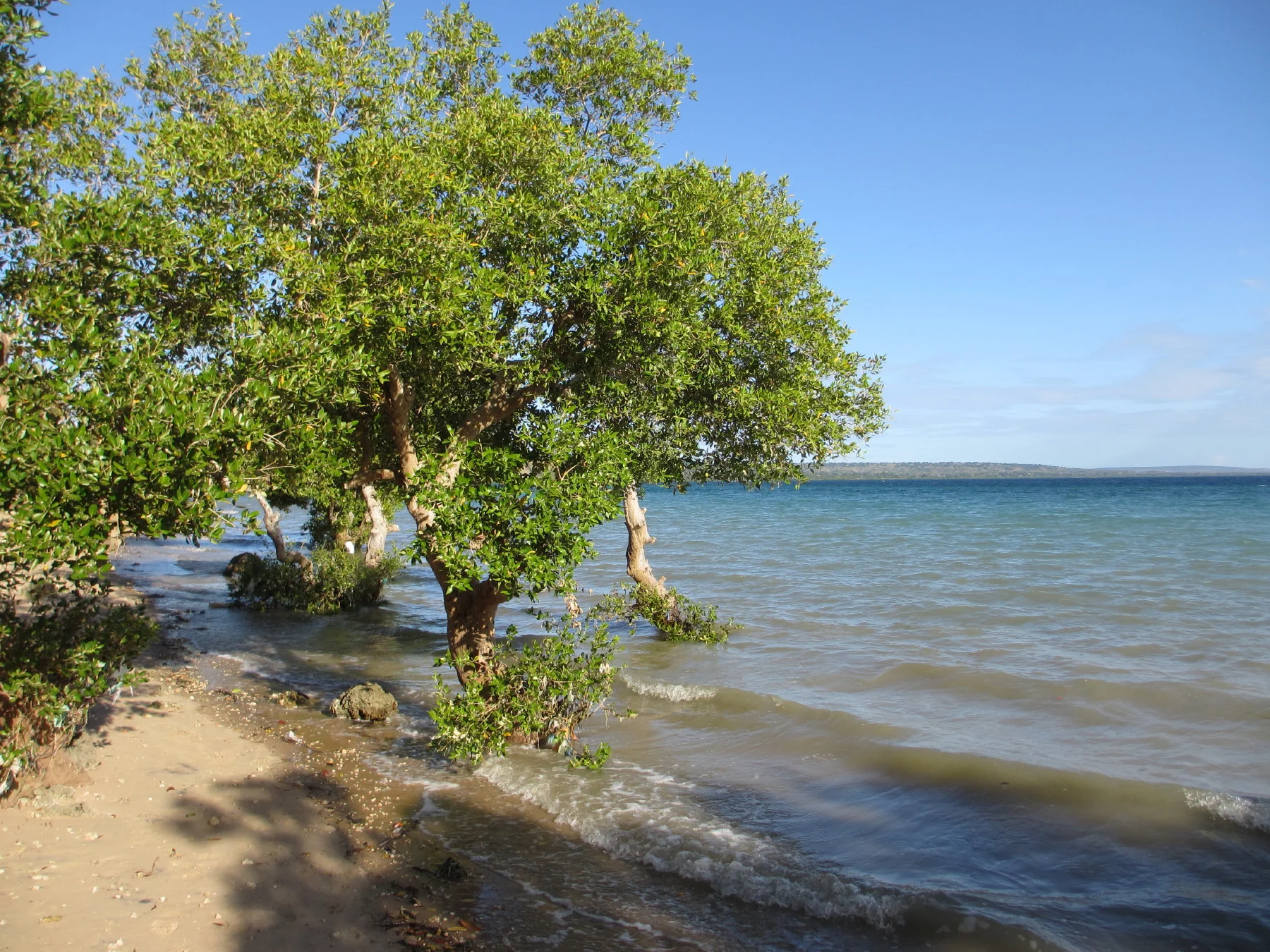 Pemba Island