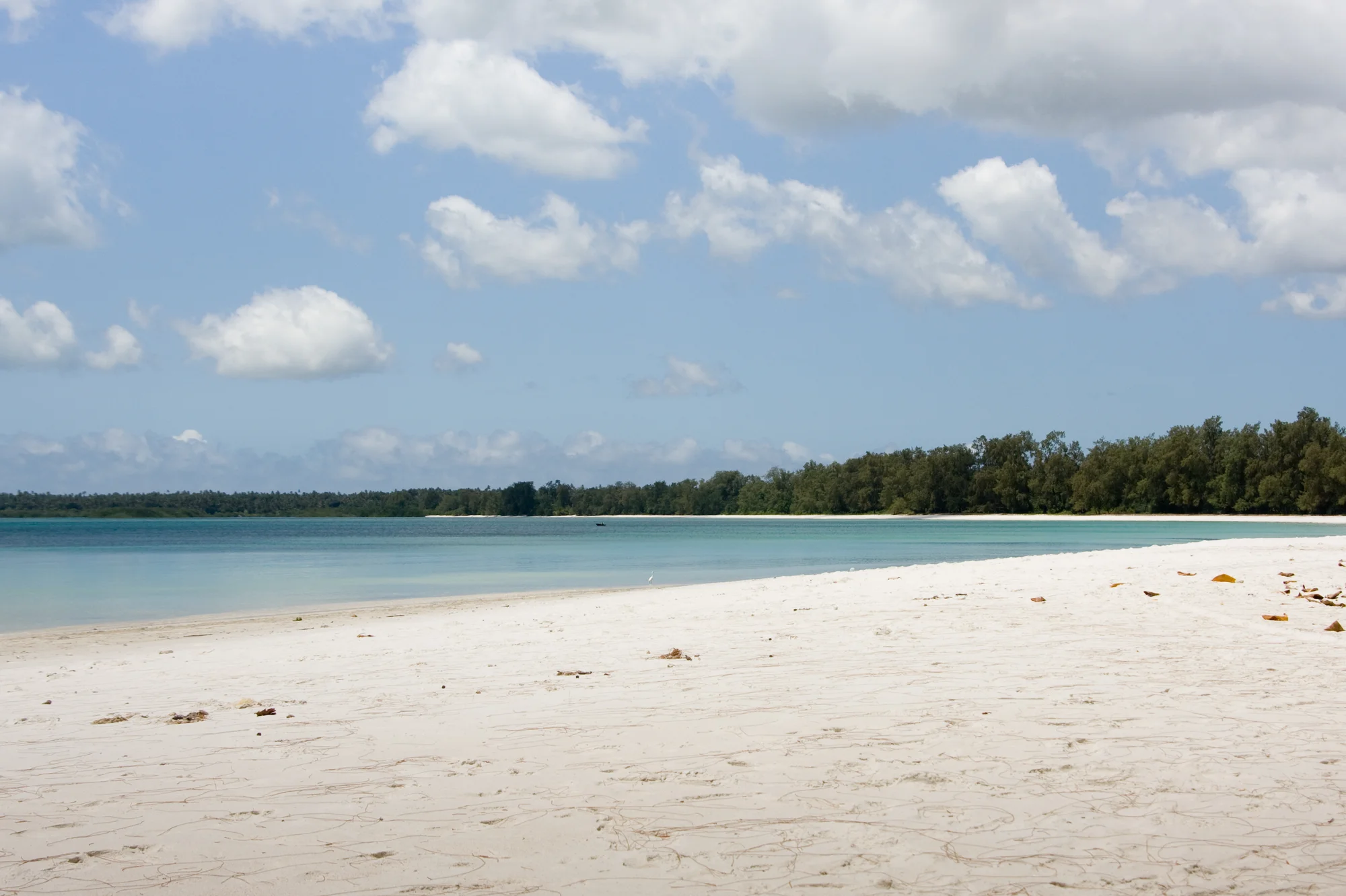 5-Tage-Tauchurlaub auf Pemba Island