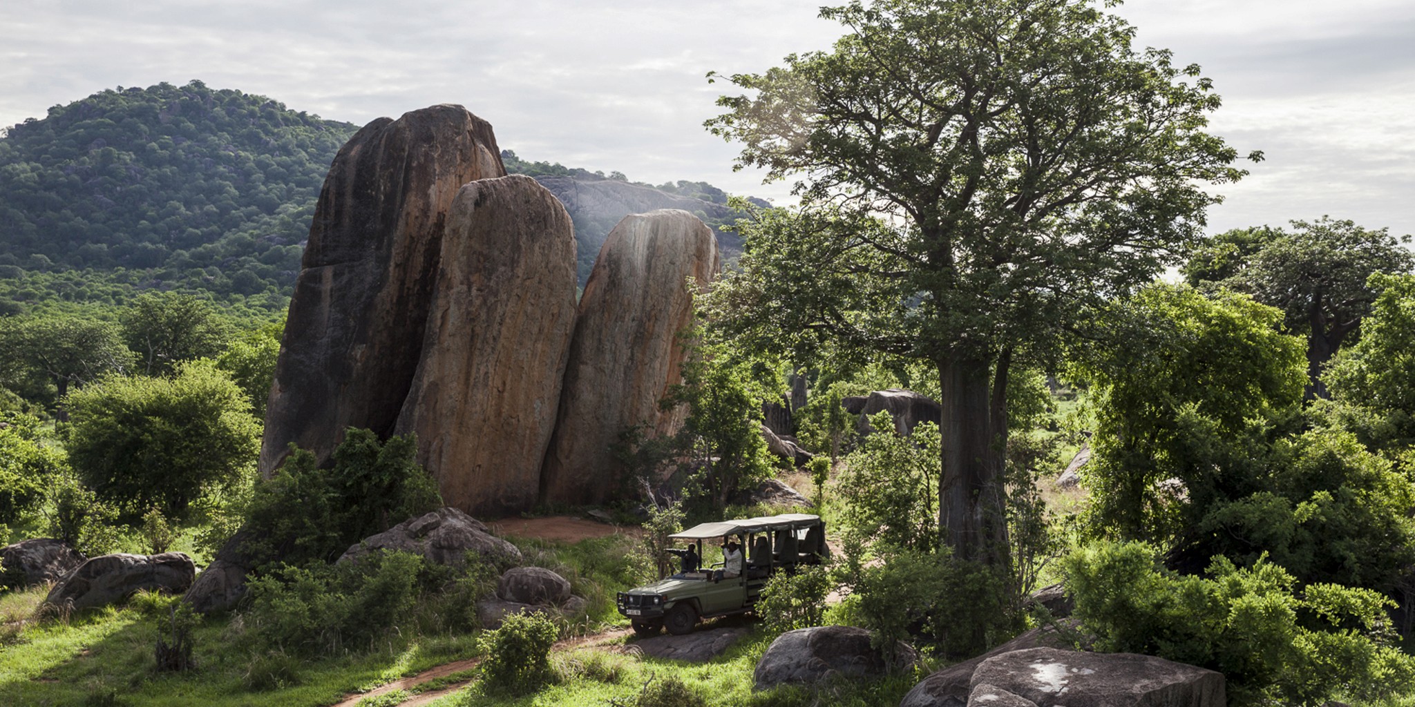 3-Tage-Flug-Safari Ruaha