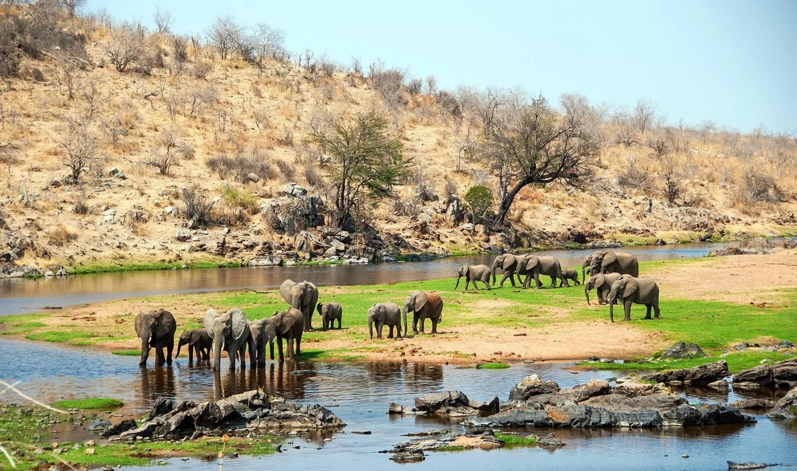 8-tägige Nordtansania-Safari + Ruaha-Wildhunde-Safari