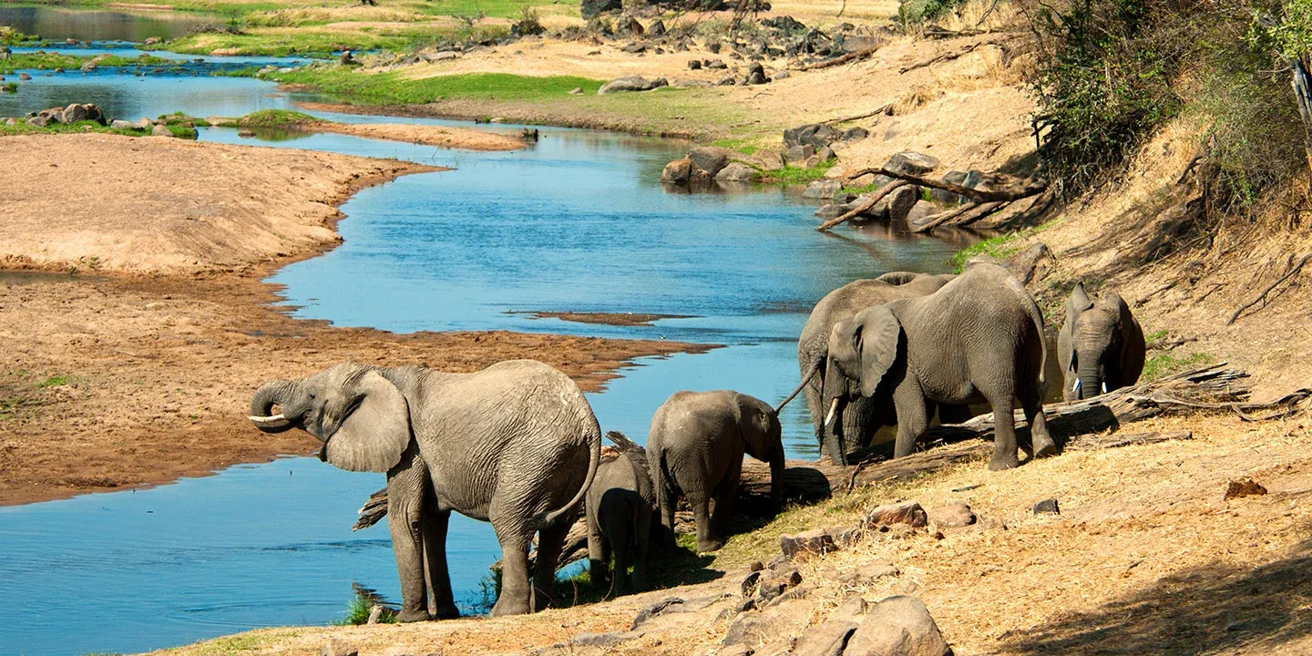 Safari di 10 Giorni nel Circuito Settentrionale + Safari a Piedi a Ruaha