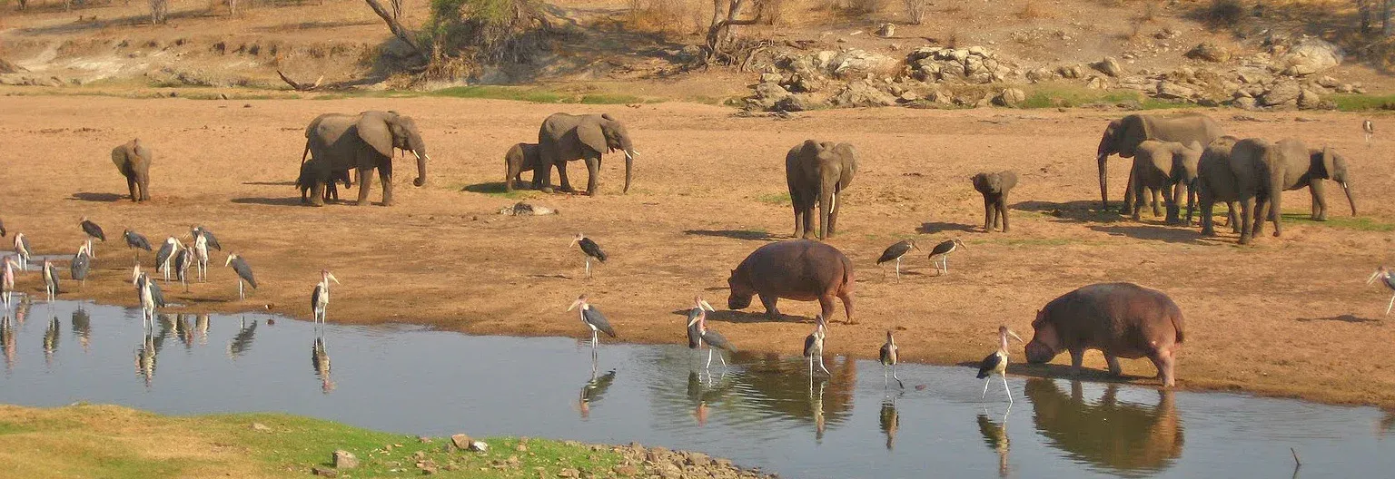 4-Tage-Flug-Safari Ruaha