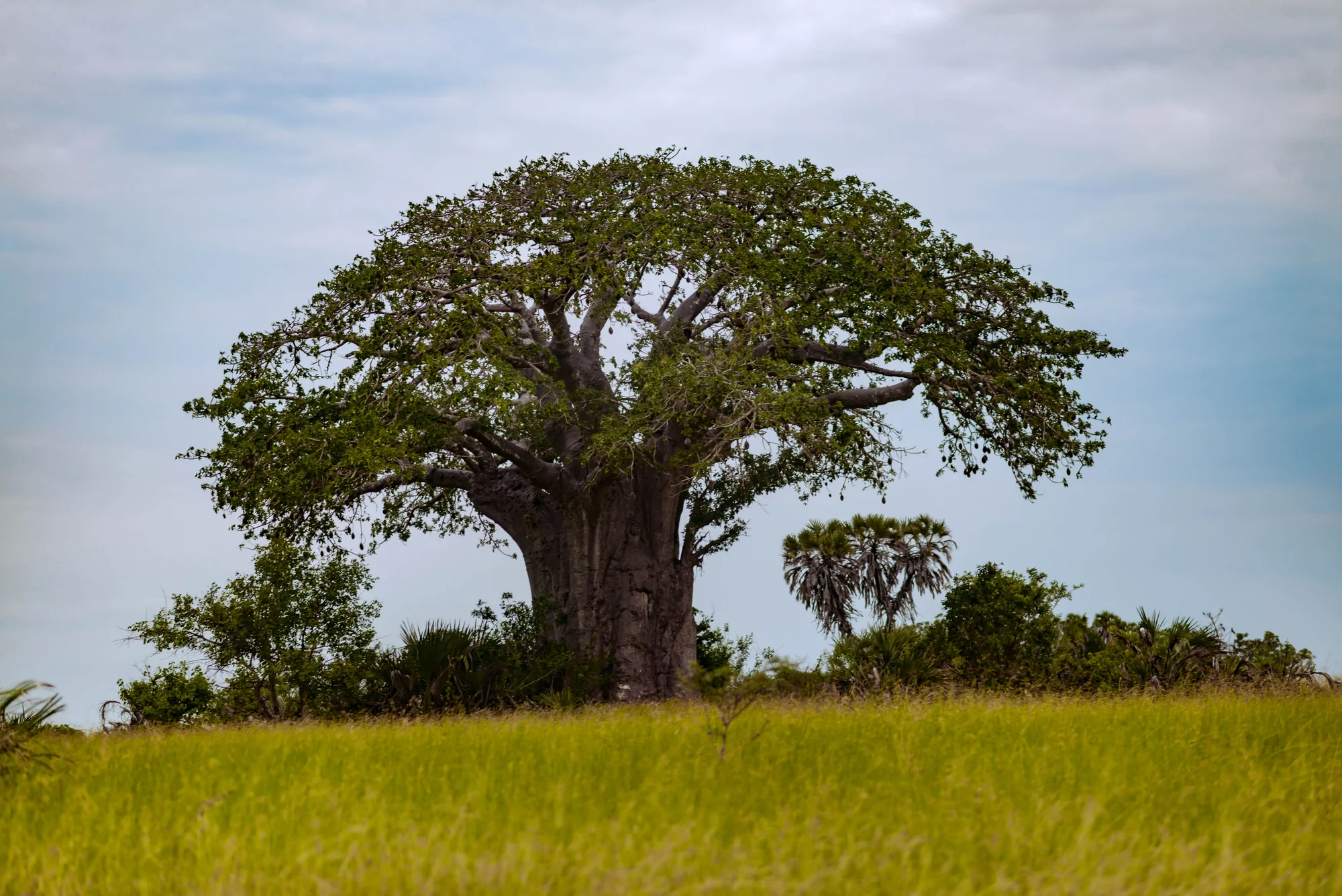 Saadani National Park — 5