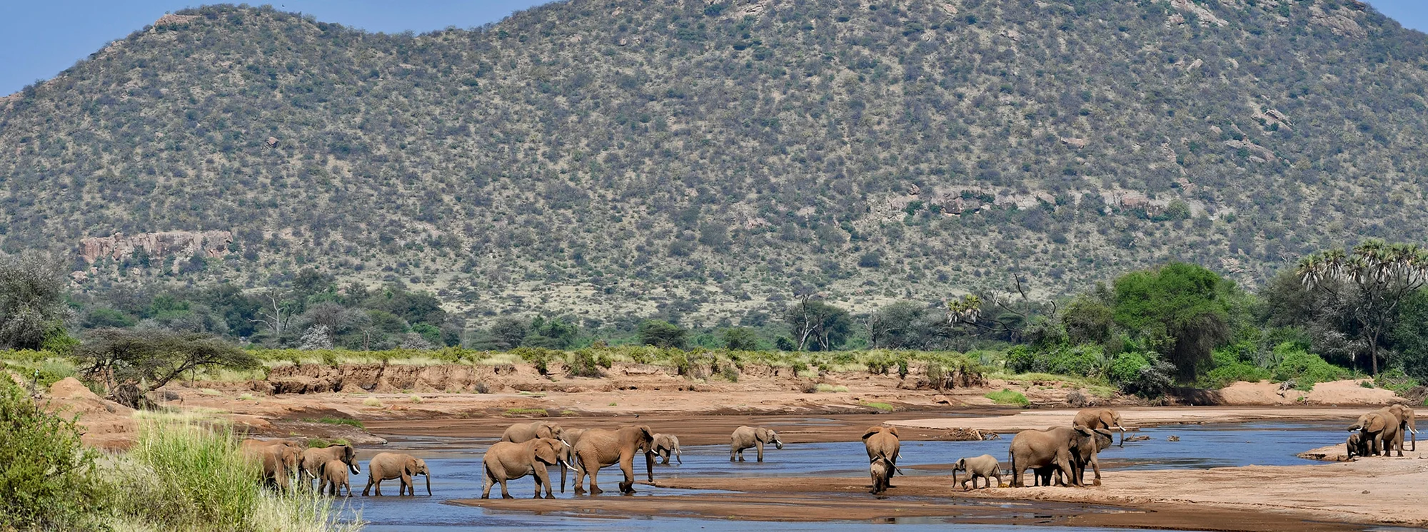3-tägige Samburu-Fly-In-Safari