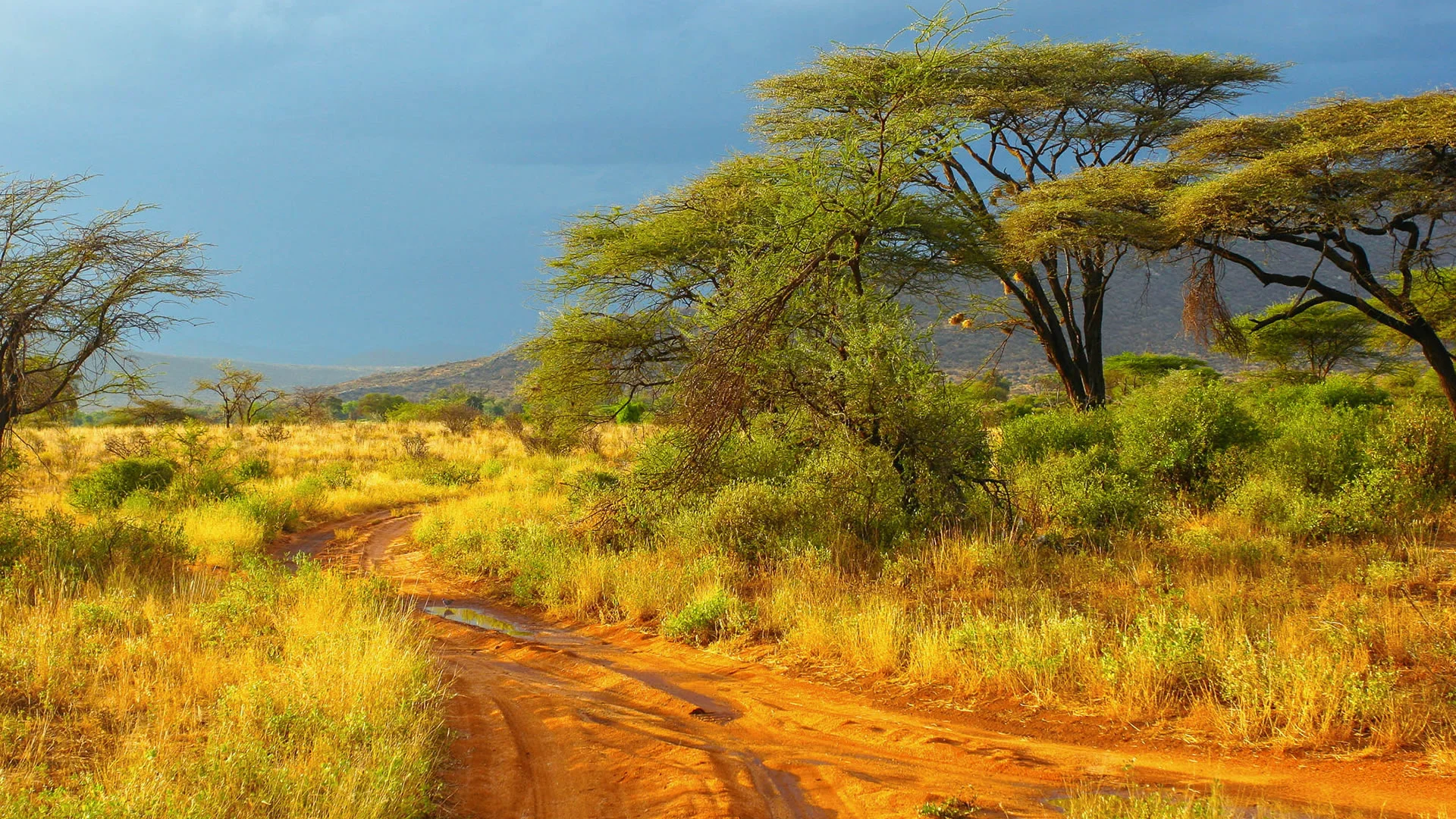 6-Tage Aberdare, Samburu & Ol Pejeta Safari im Norden Kenias