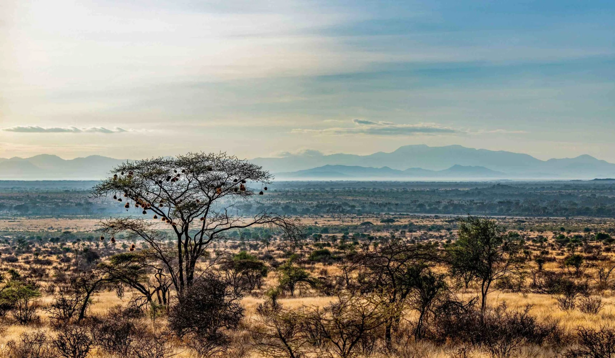 6-tägige Masai-Mara-, Lake-Nakuru- & Samburu-Safari