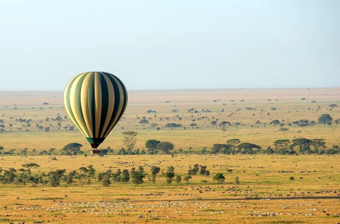 Safari di 8 Giorni tra Parchi della Tanzania e Concessione Privata
