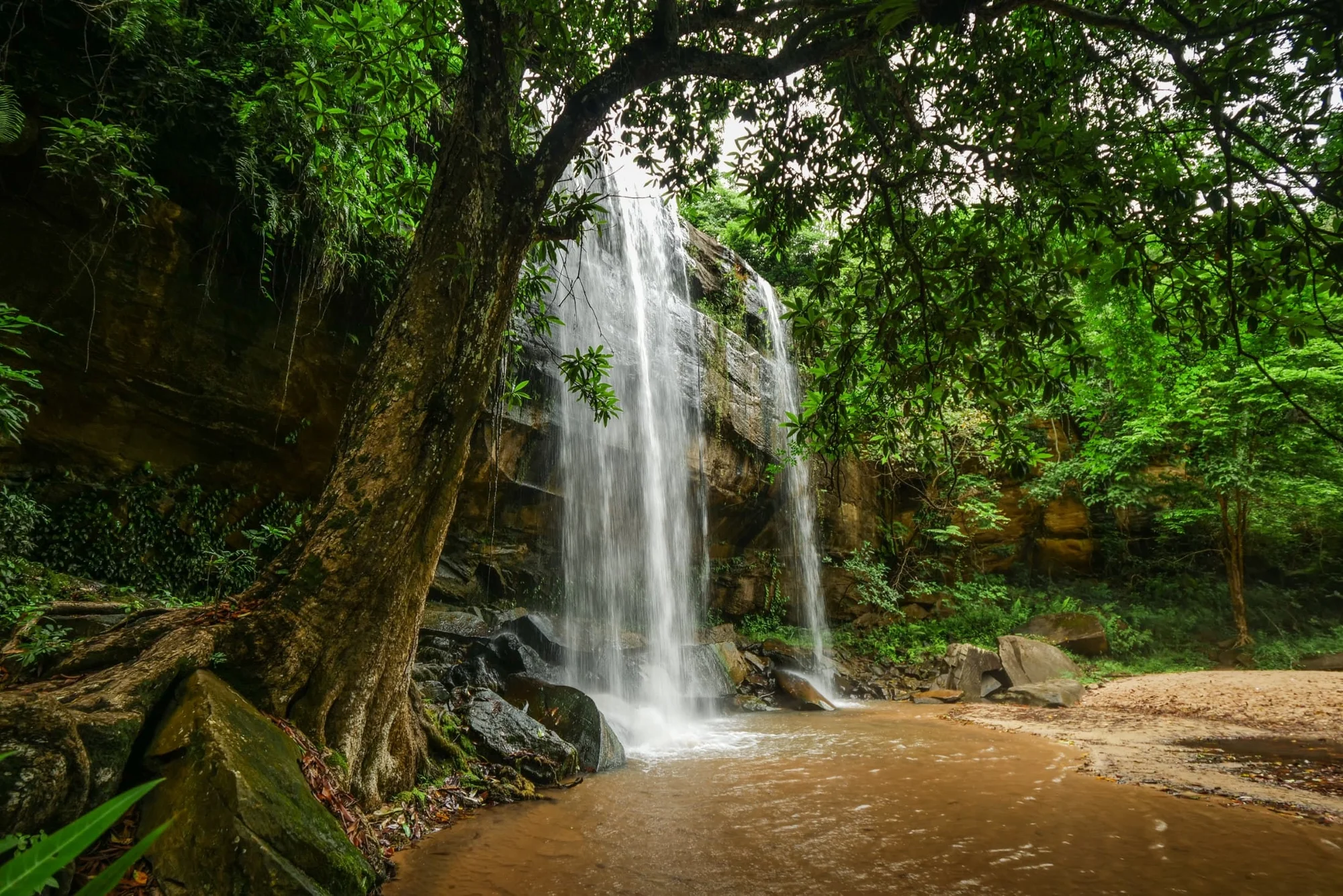 Shimba Hills National Reserve — 3