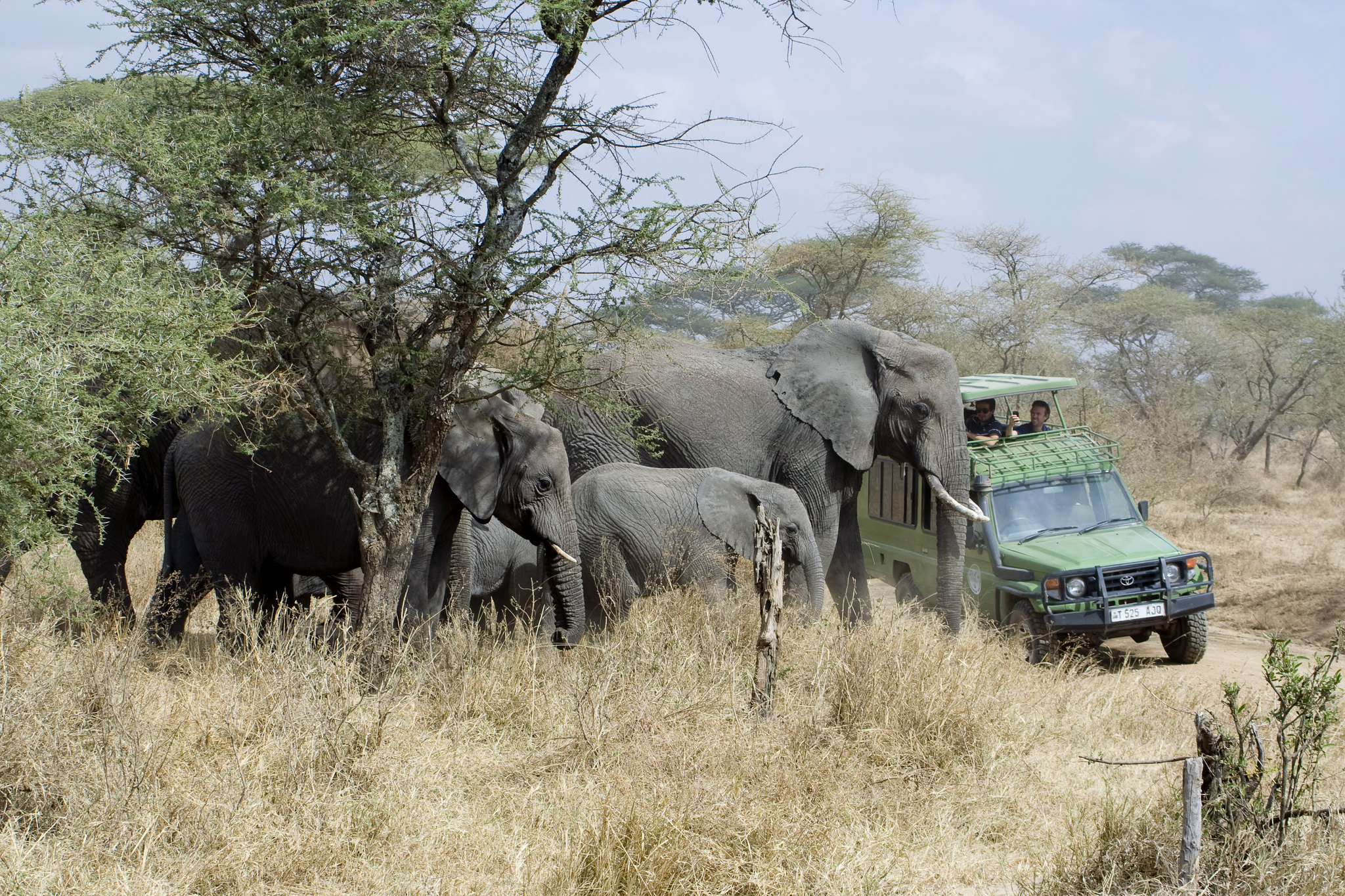 Tarangire National Park