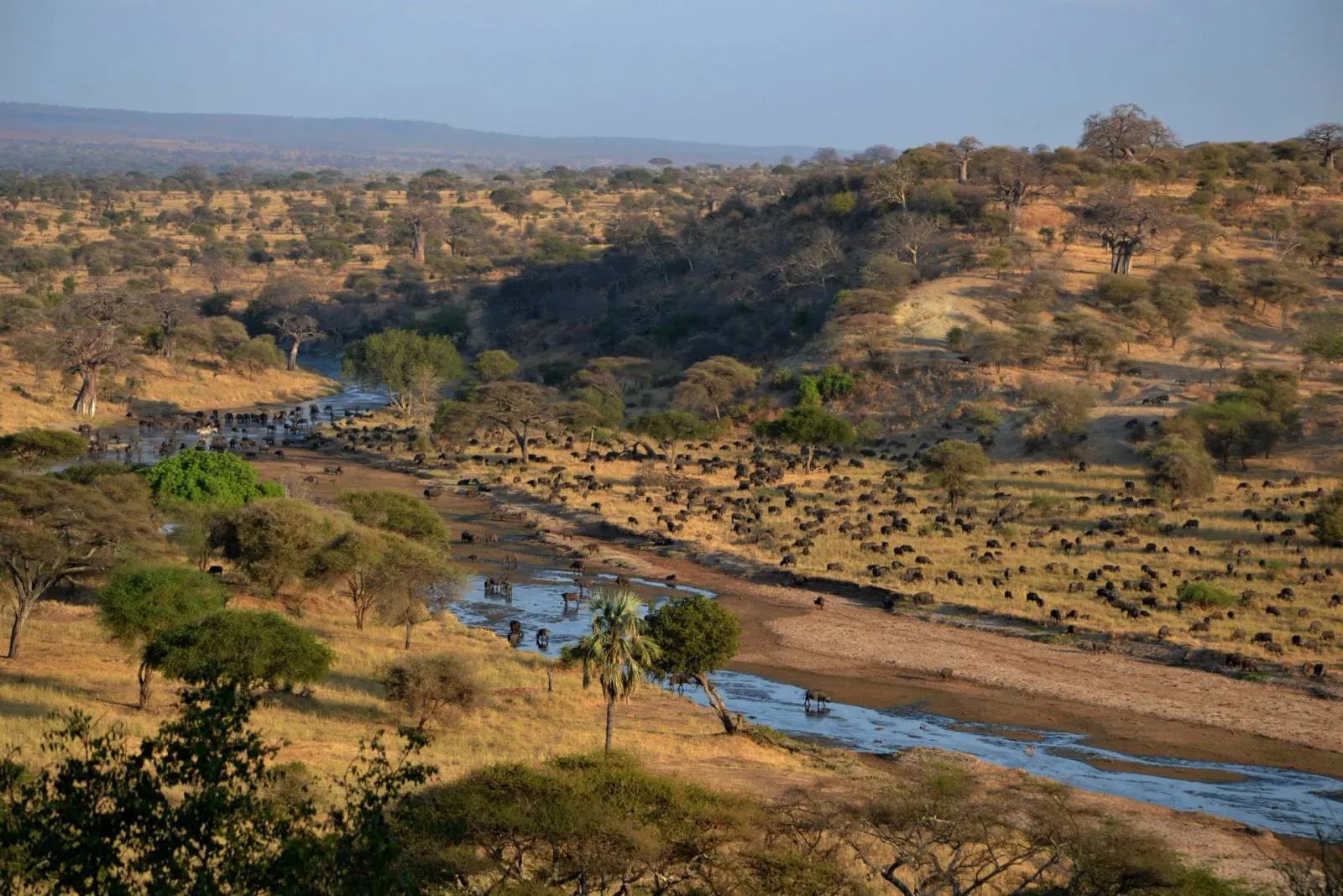 Safari di 2 Giorni a Tarangire