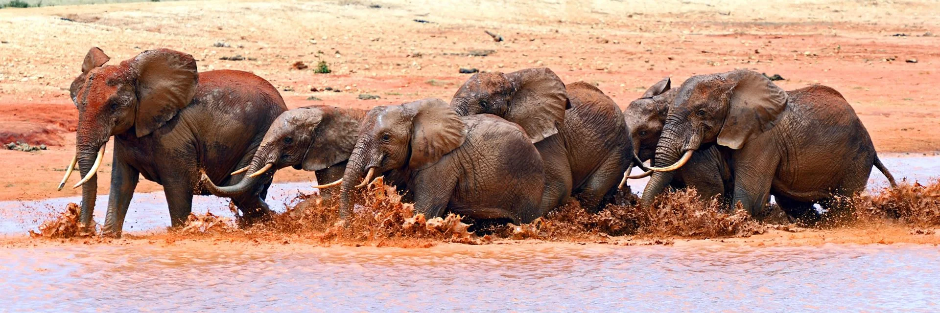 3-Tage-Safari im Tsavo East & Tsavo West