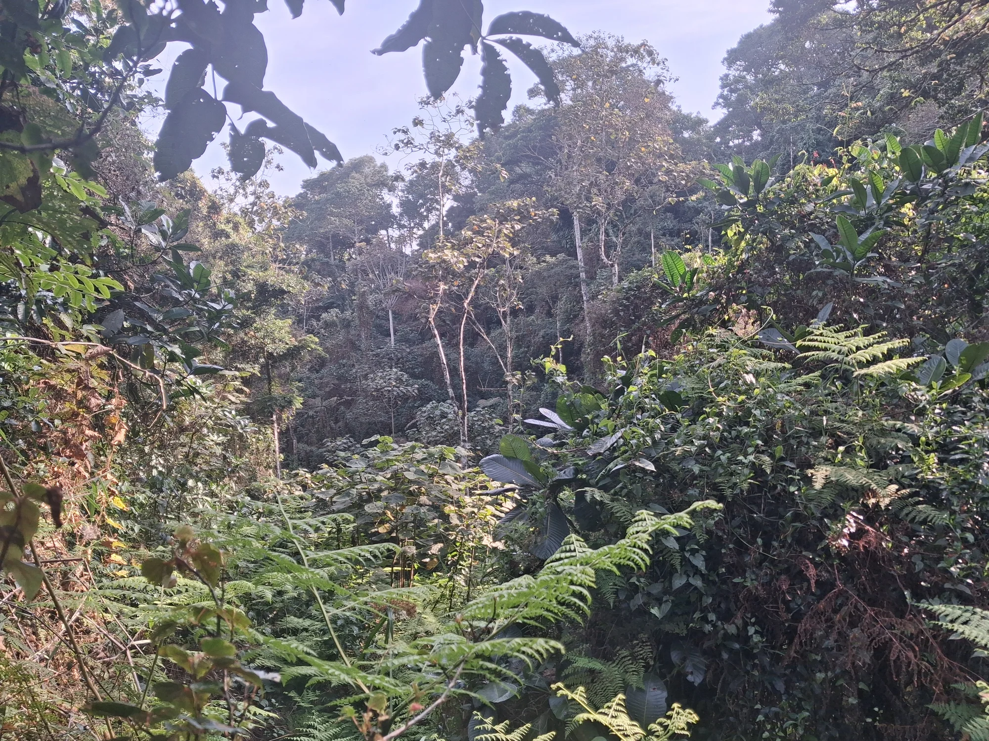 Randonnée de 3 jours dans les monts Udzungwa