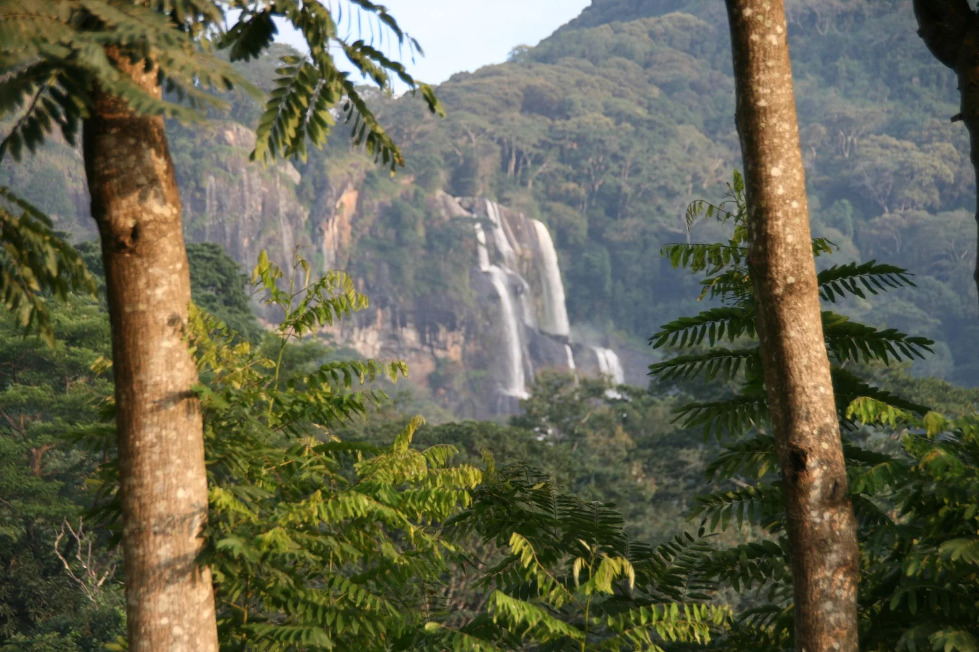 Udzungwa Mountains National Park — 4