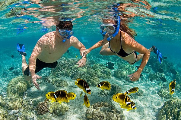 Safari Classico di 10 Giorni & Zanzibar