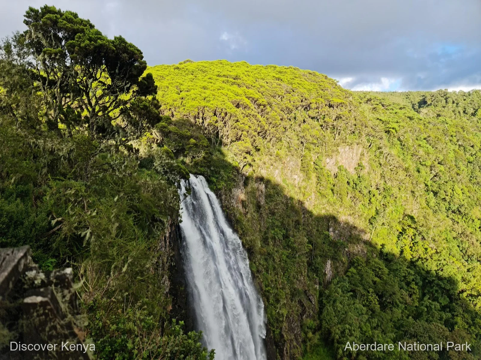 Karuru Falls — der 273 Meter hohe Freifall-Wasserfall im Aberdare-Moorland, umrahmt von Bültengras und riesigem Heidekraut