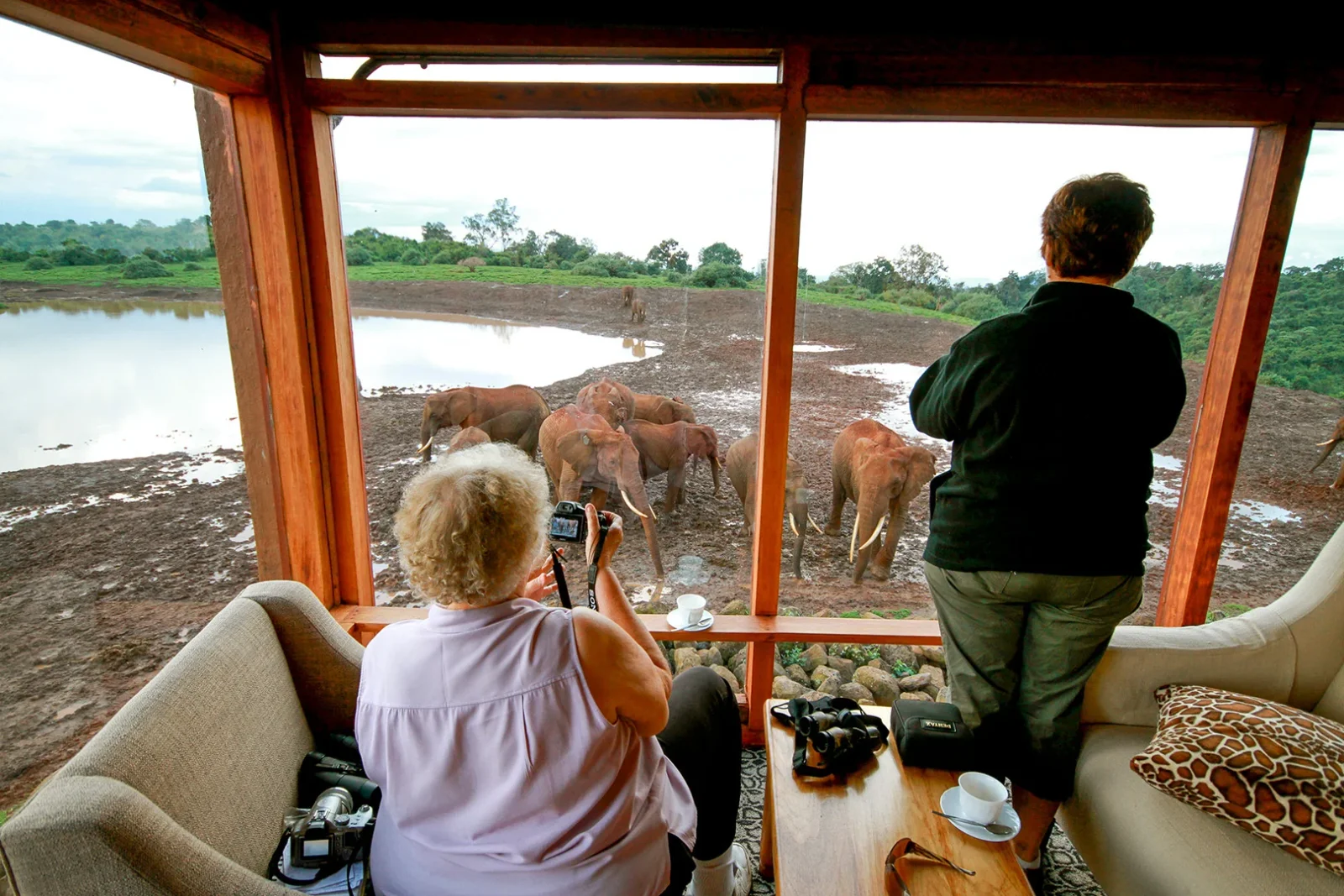 Das beleuchtete Wasserloch von The Ark um 23 Uhr mit einem Spitzmaulnashorn an der Salzlecke, fotografiert aus dem ebenerdigen Bunker-Versteck