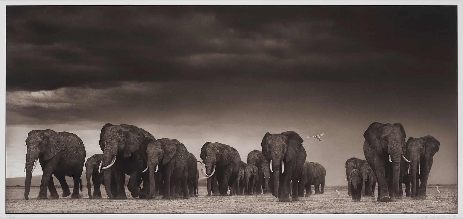 Amboseli a fine novembre dopo le piccole piogge con erba verde, nuvole di temporale drammatiche e una montagna più visibile