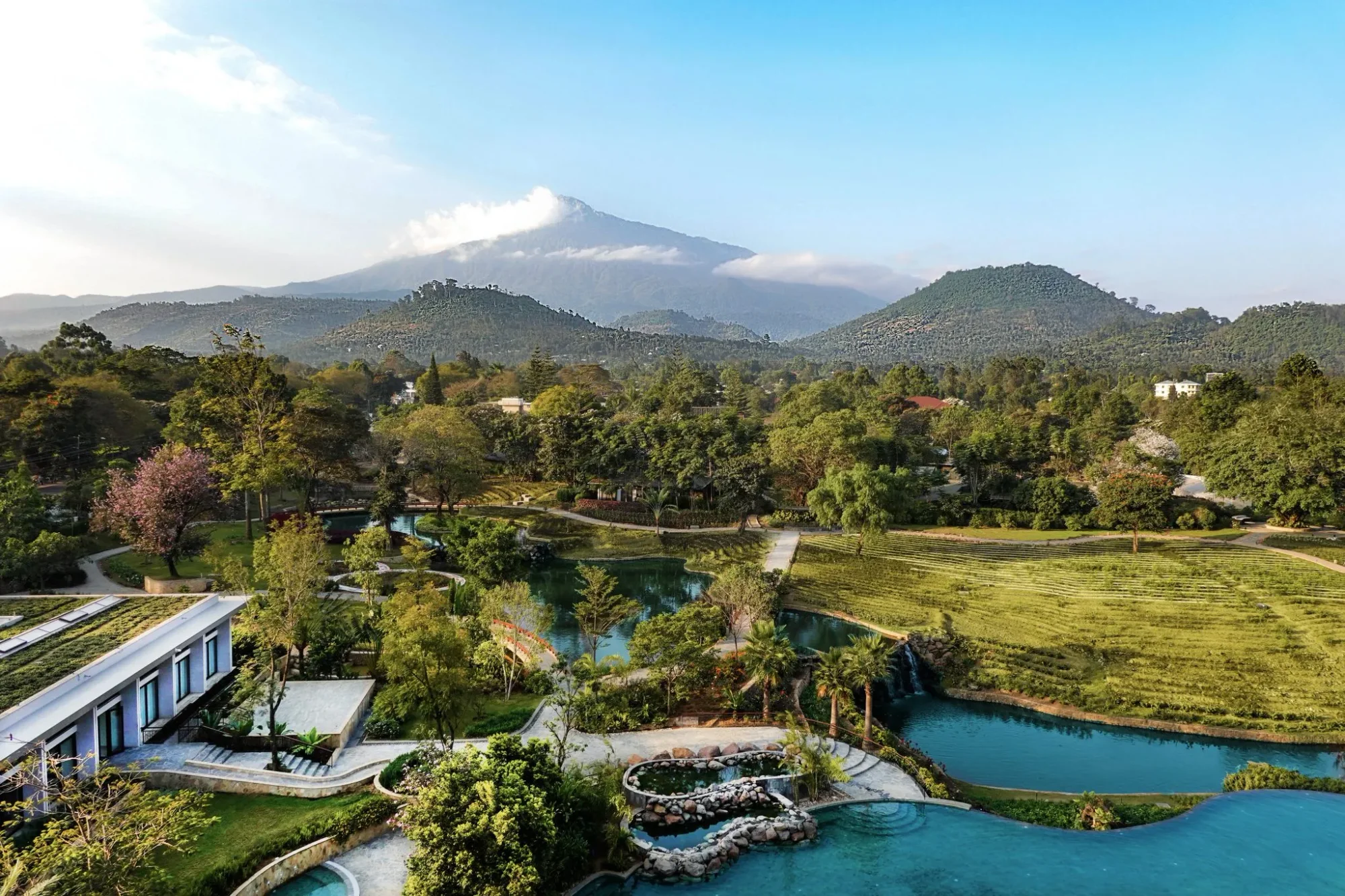 Vista panoramica della città di Arusha con i pendii verdi del Monte Meru che si ergono sullo sfondo e le piantagioni di caffè in primo piano